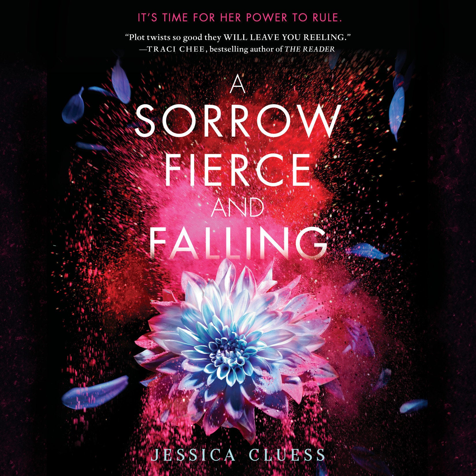 A Sorrow Fierce and Falling (Kingdom on Fire, Book Three)