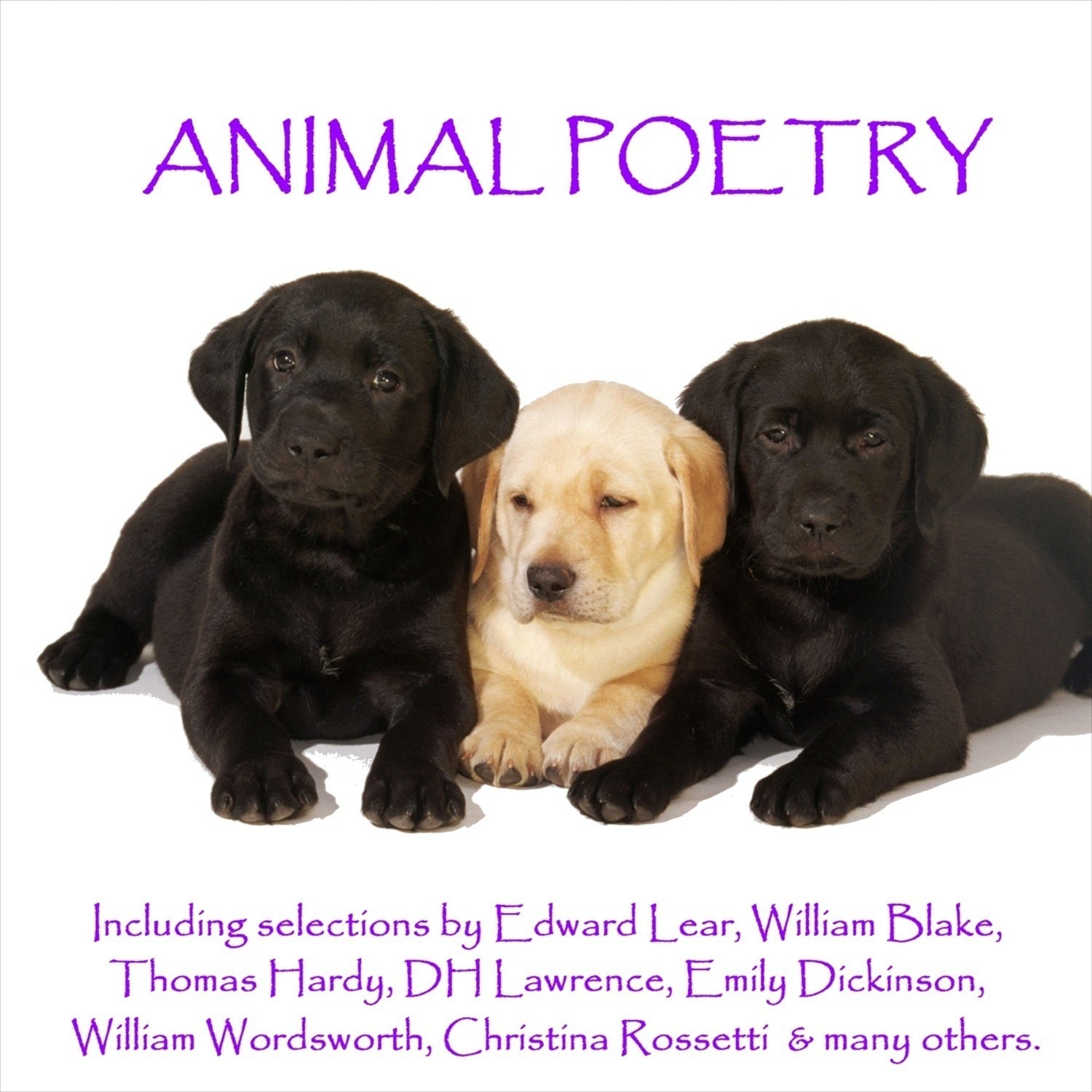 The Poetry of Animals