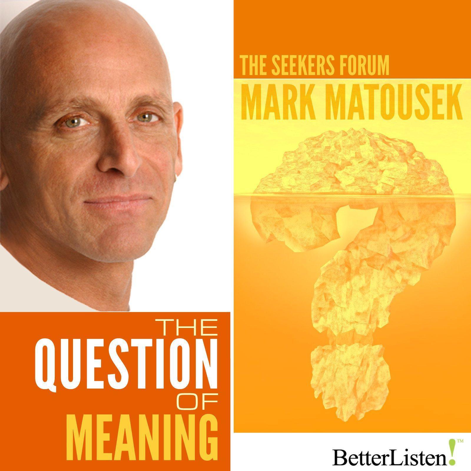 The Question of Meaning