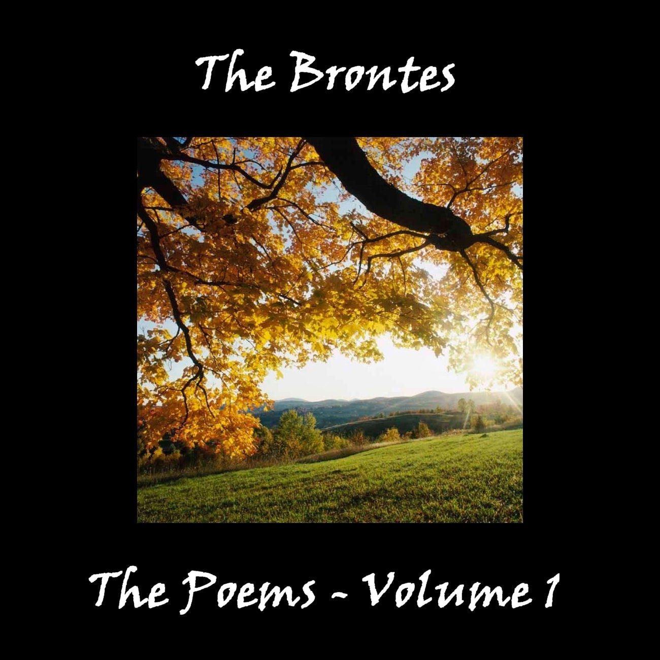 The Brontës’ Poetry, Vol. 1