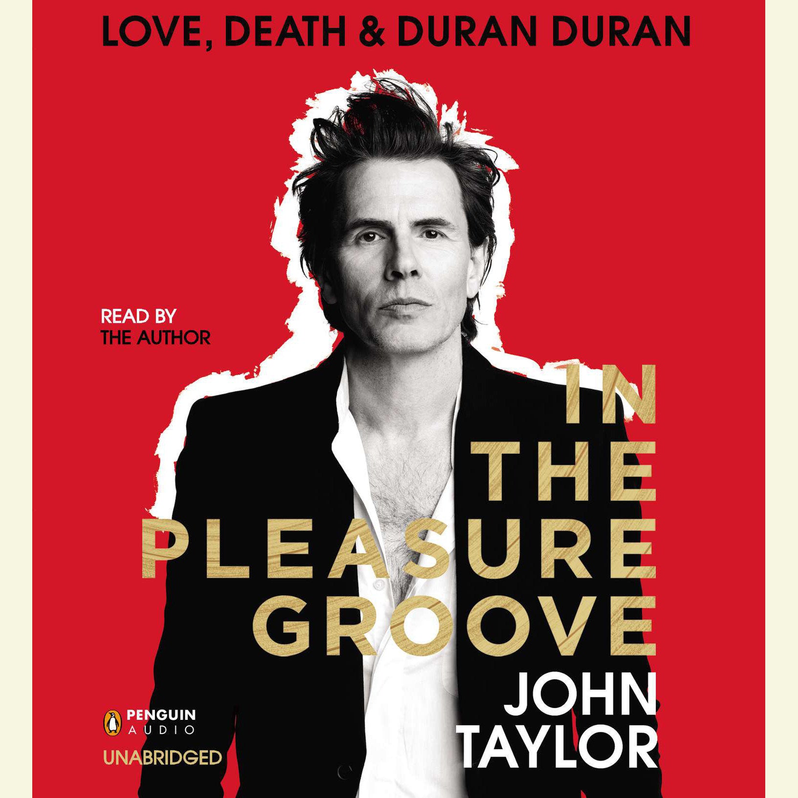 In the Pleasure Groove