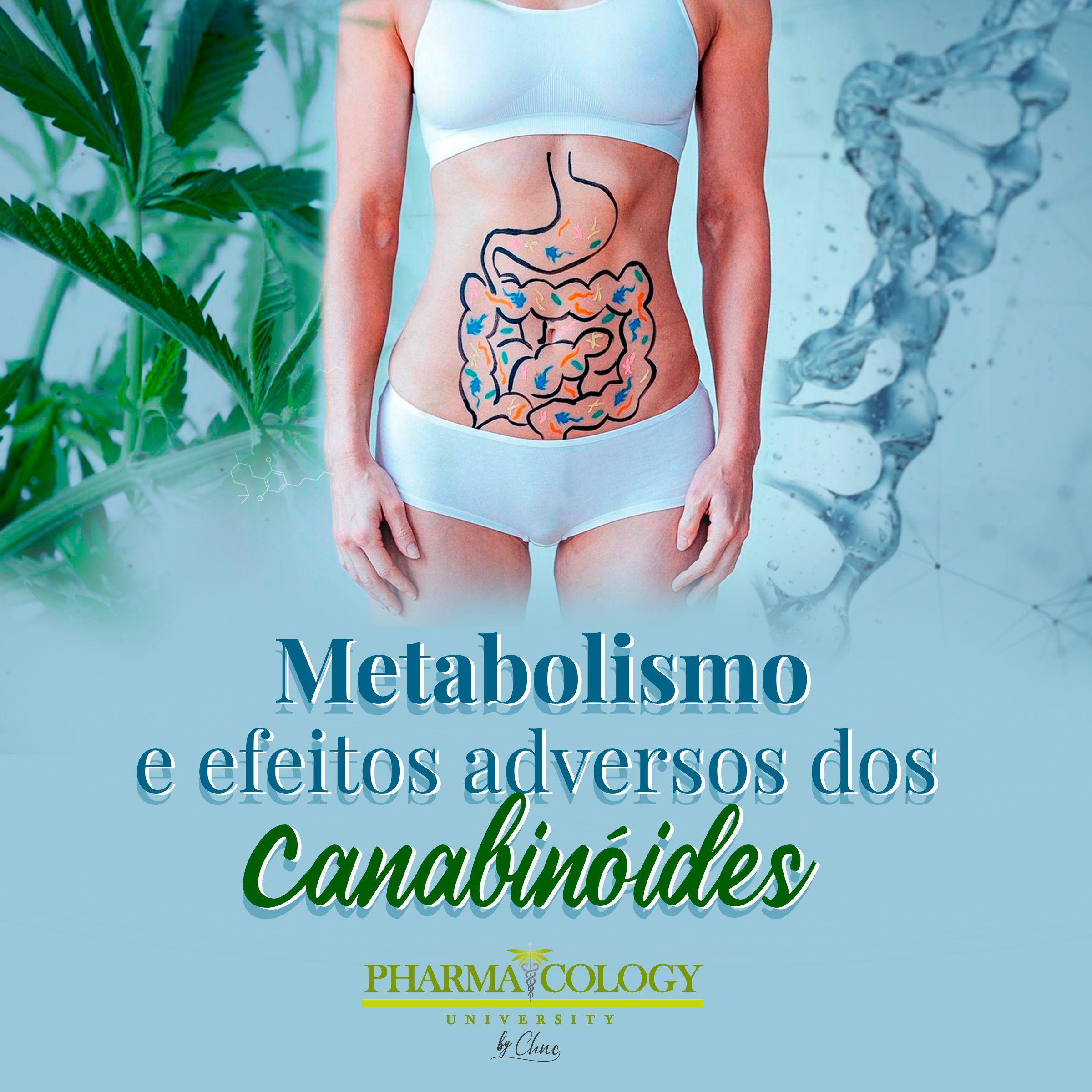 Metabolismo e efeitos adversos dos canabinóides