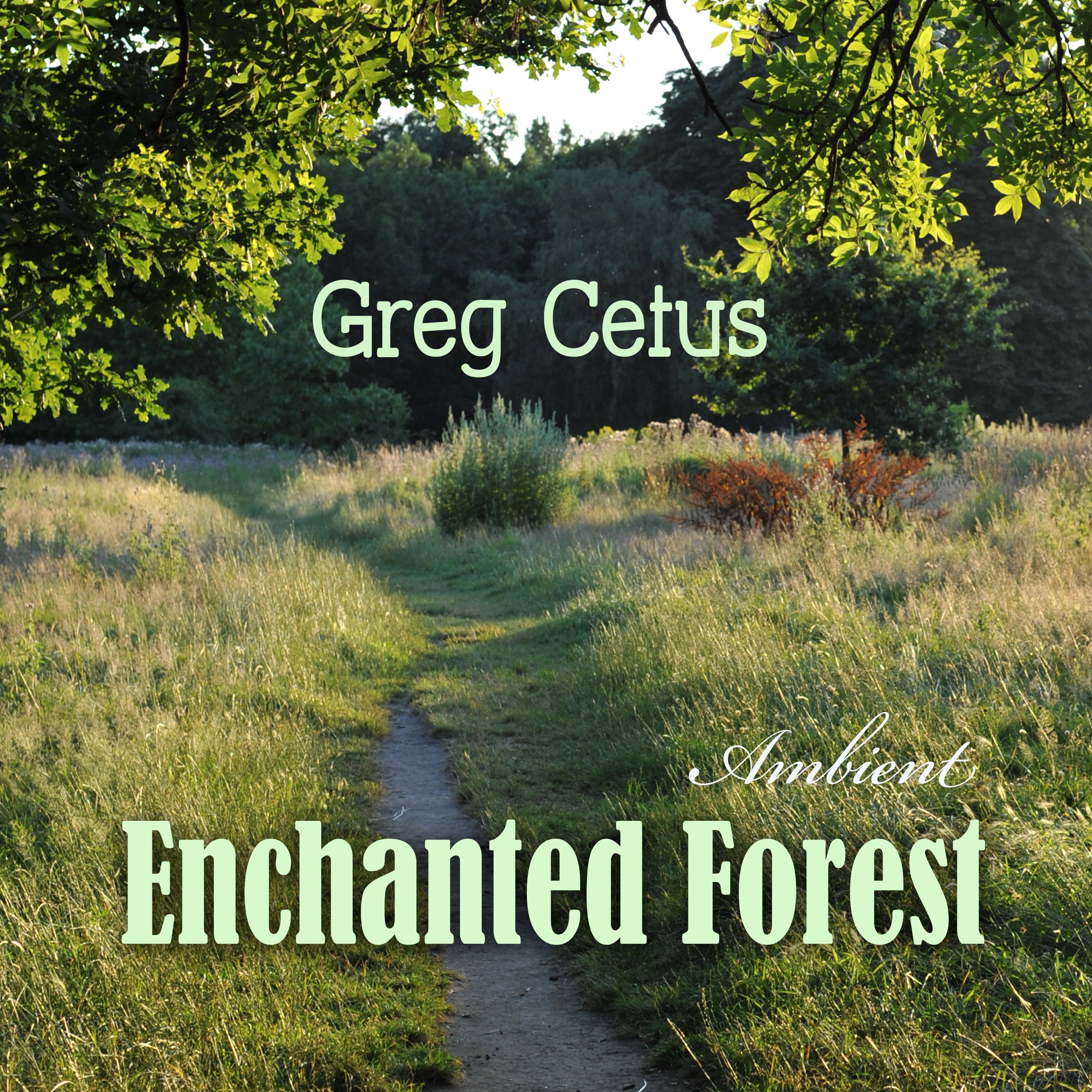Enchanted Forest: Calming Visualization for Good Sleep