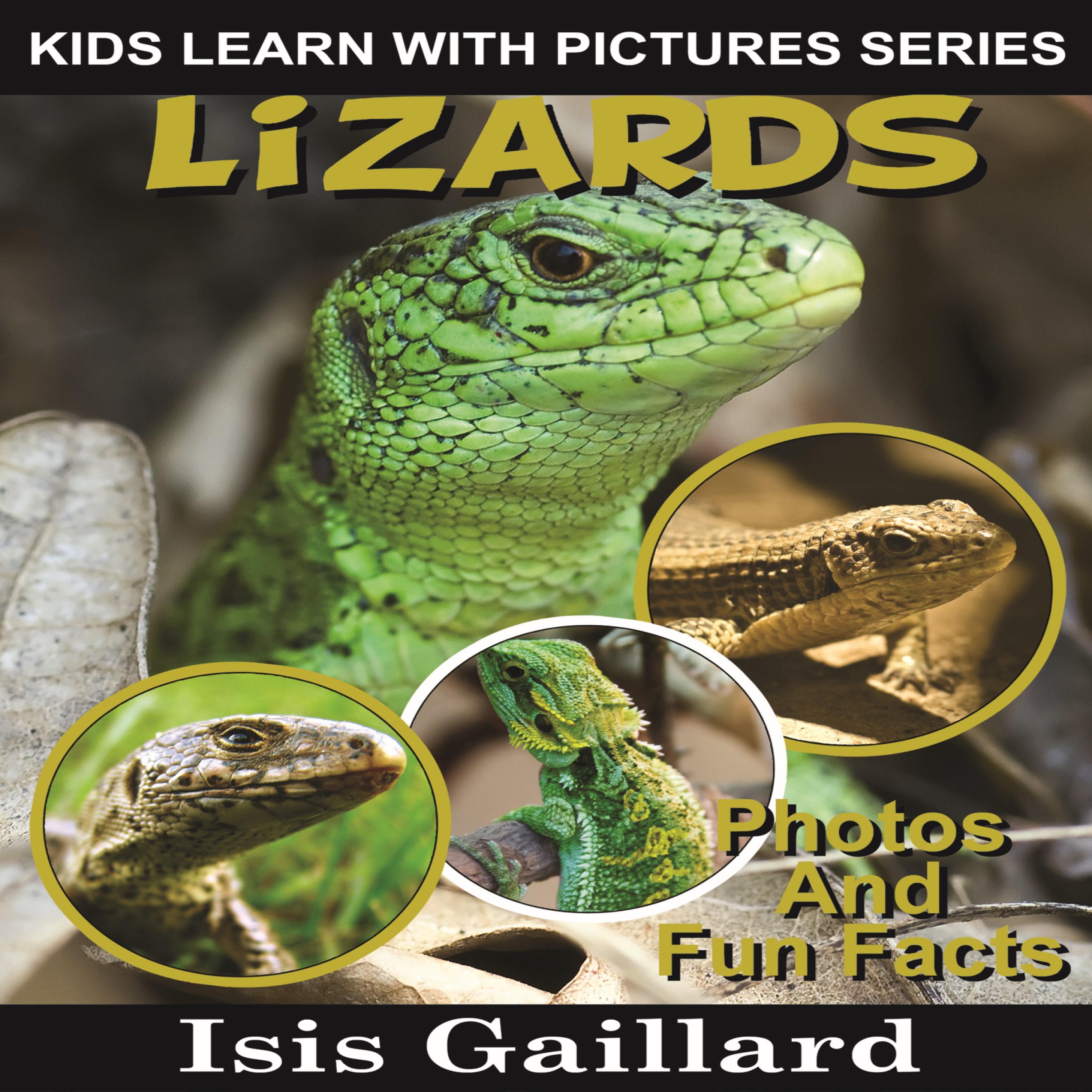 Lizards