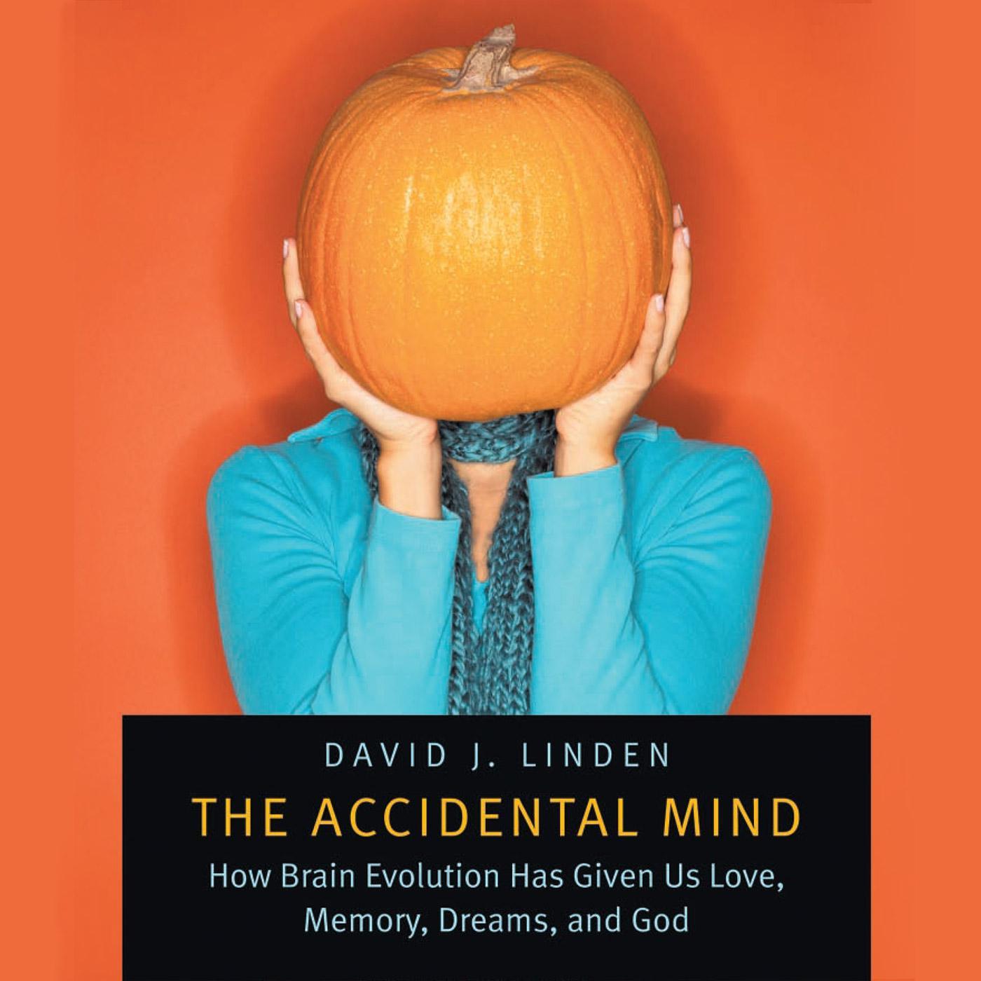 The Accidental Mind