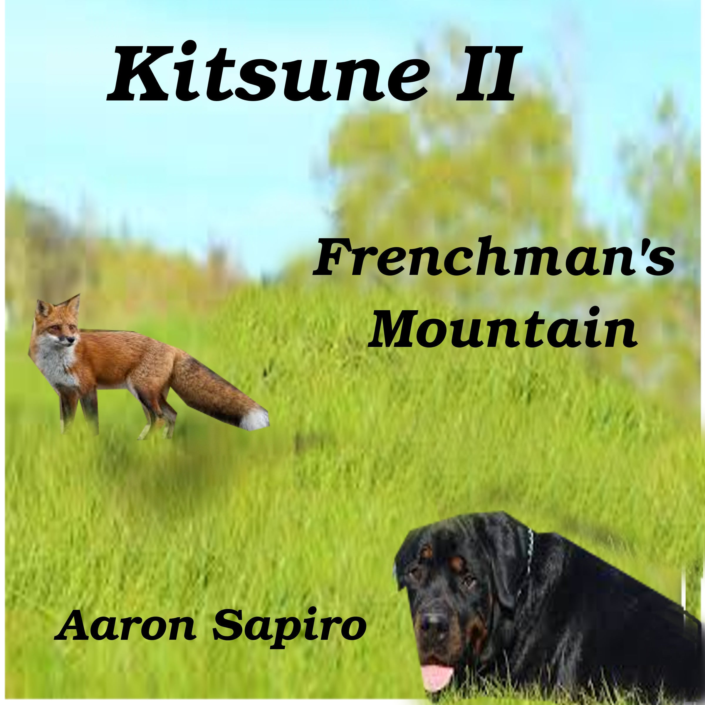 Kitsune II: Frenchman’s Mountain