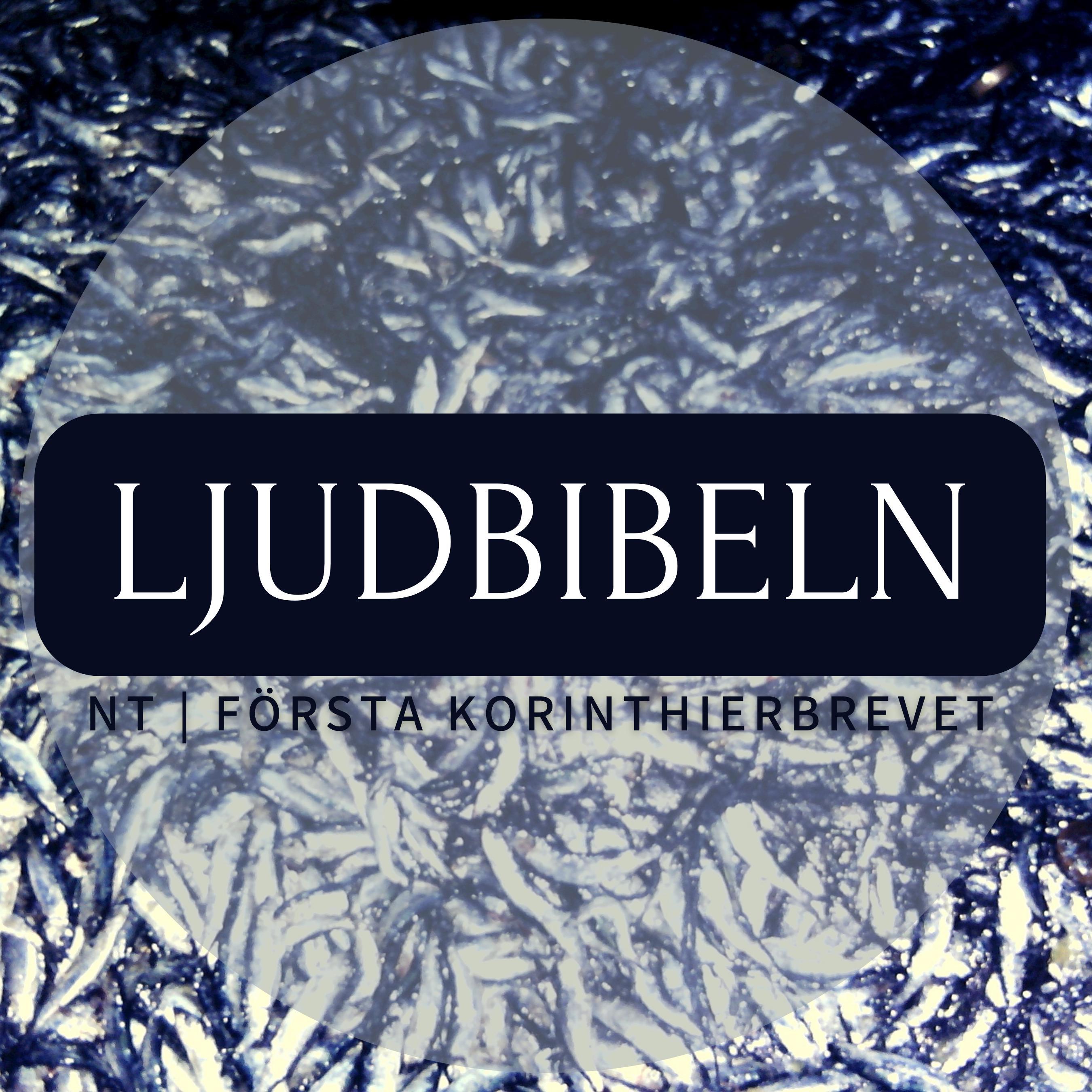 NT | Första Korinthierbrevet