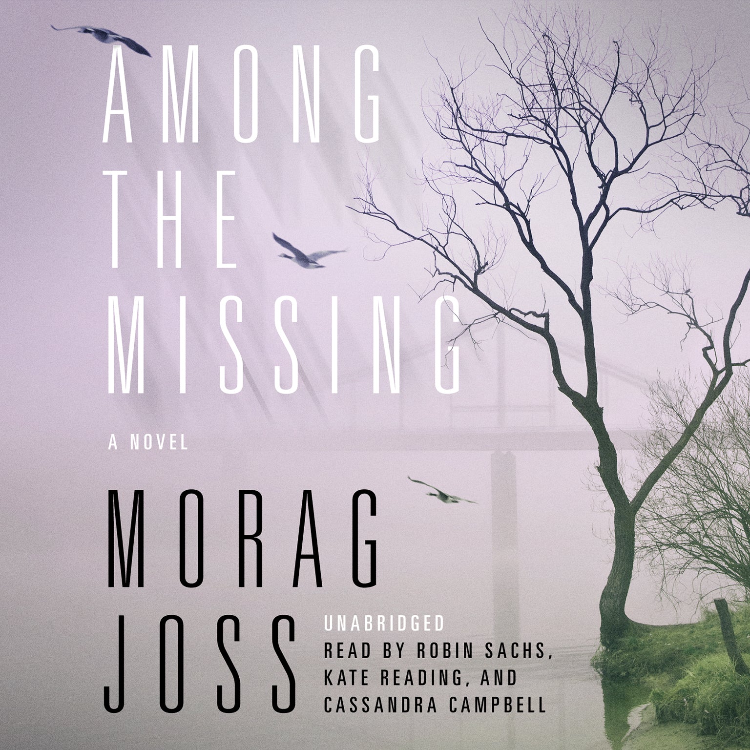 Among the Missing