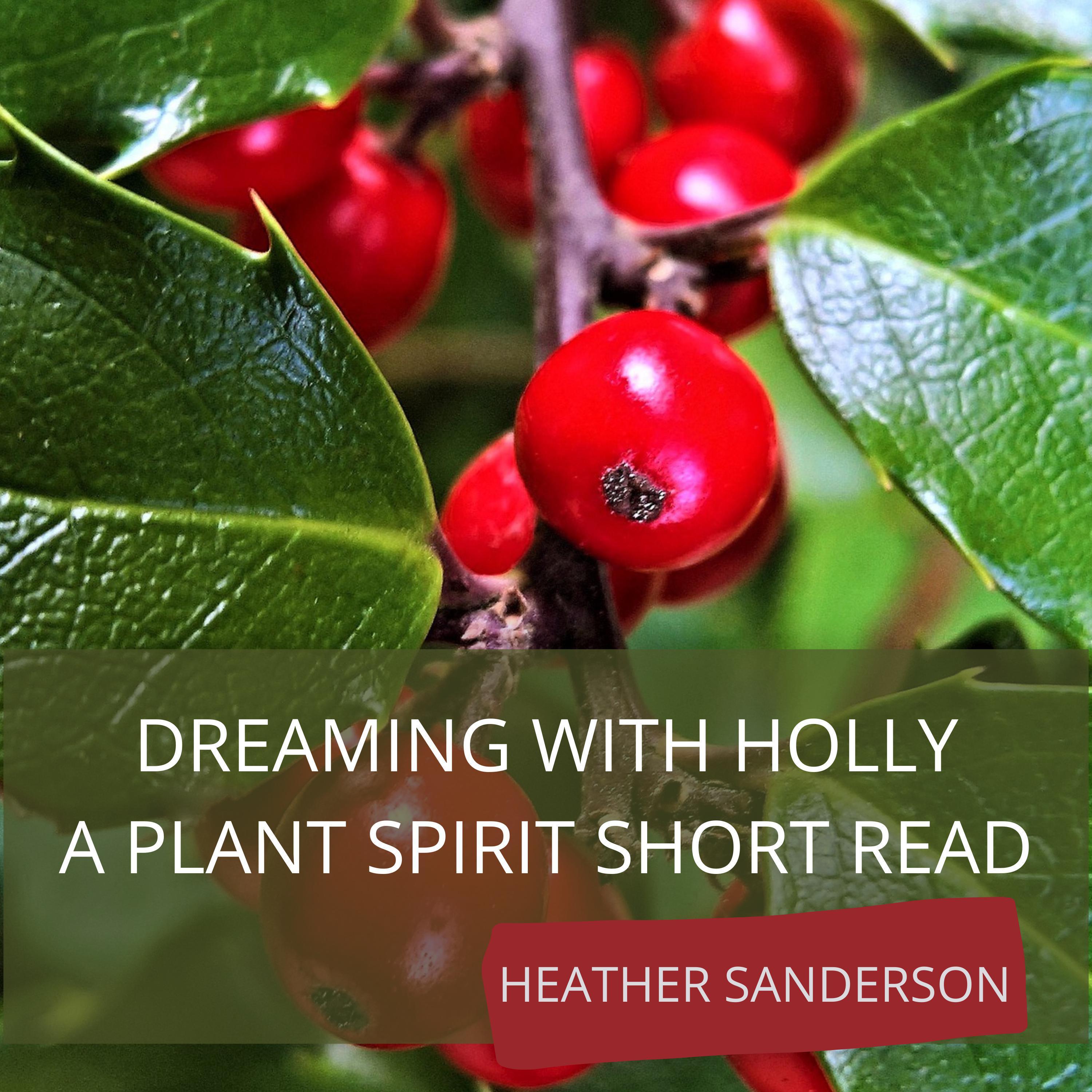 Dreaming with Holly
