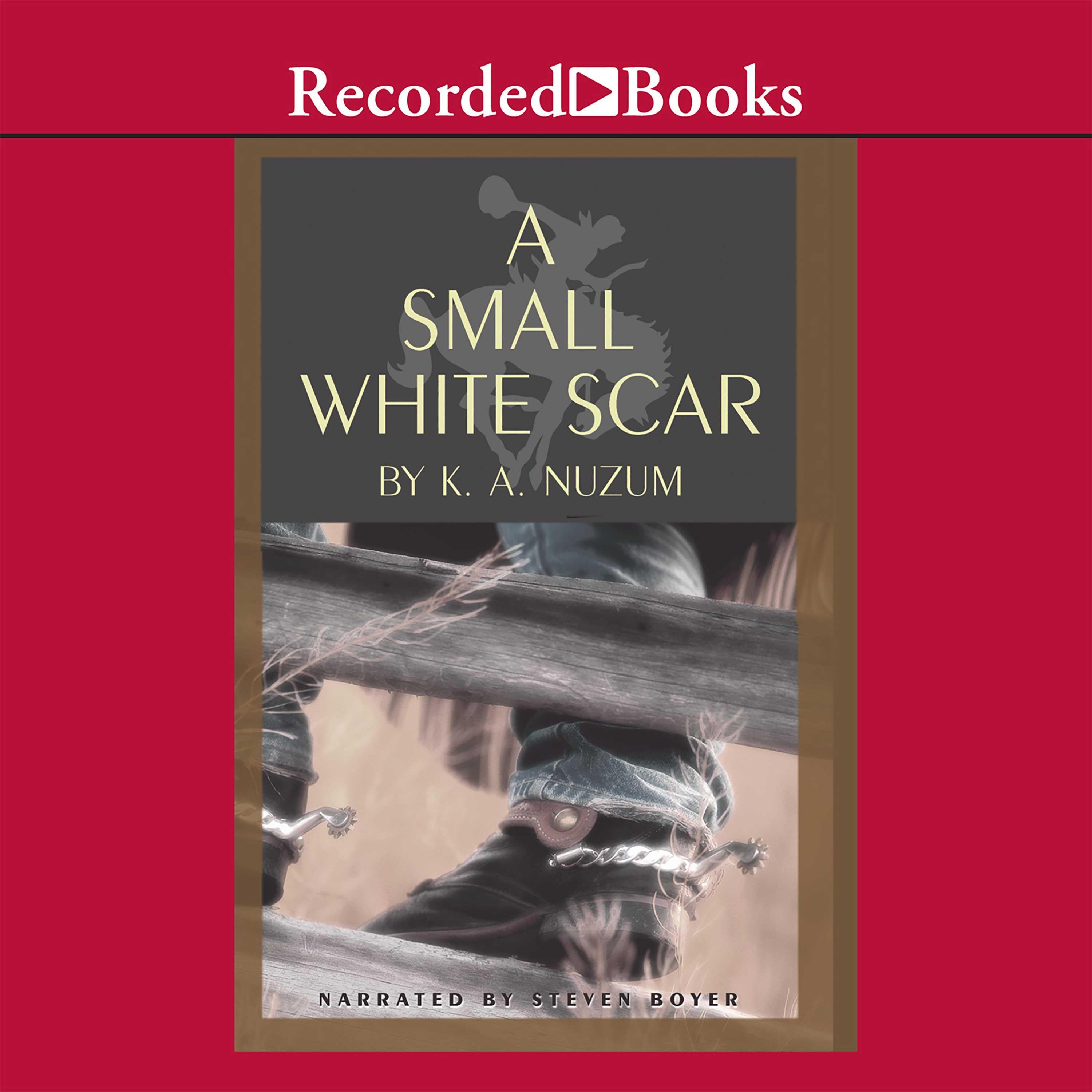 A Small White Scar