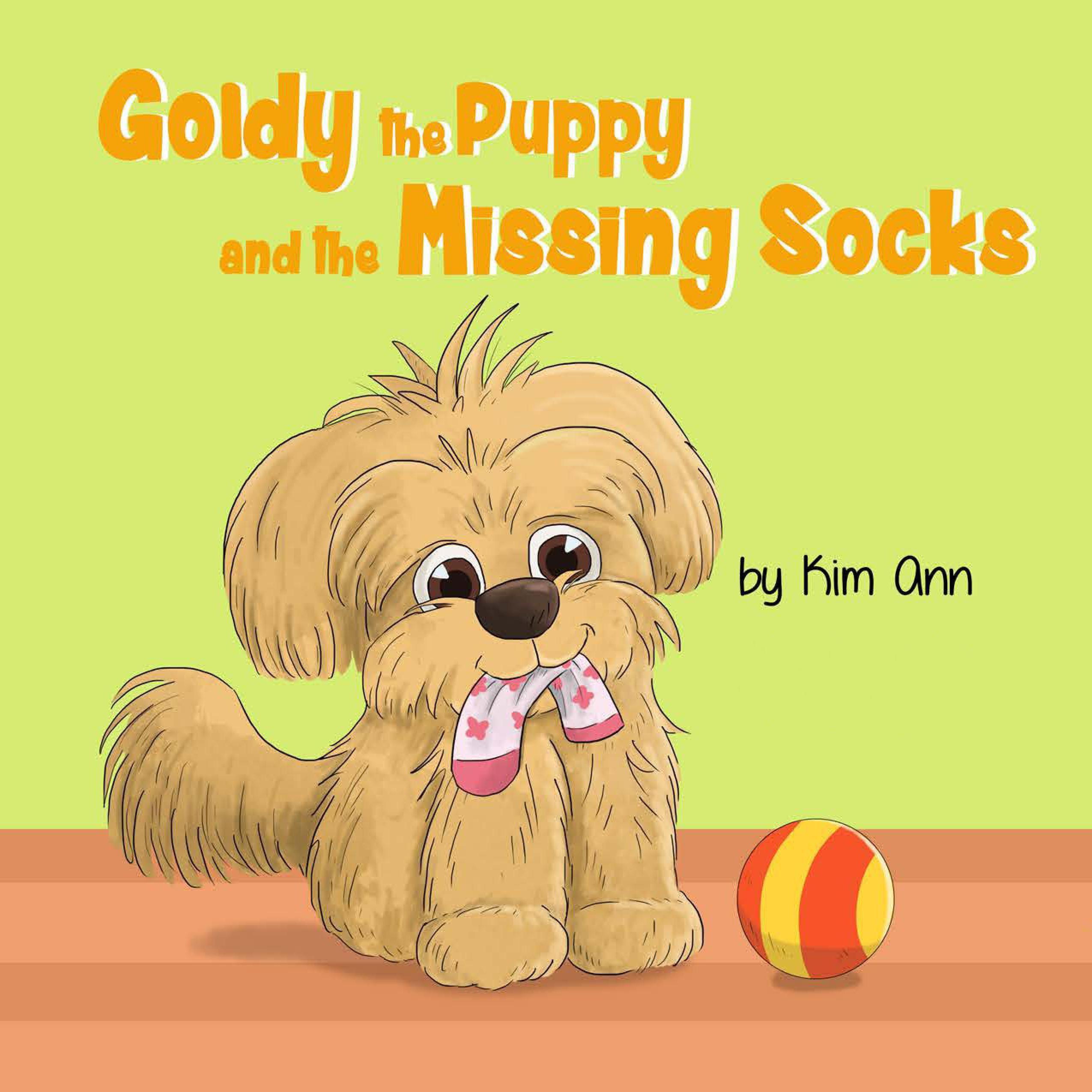 Goldy The Puppy And The Missing Socks