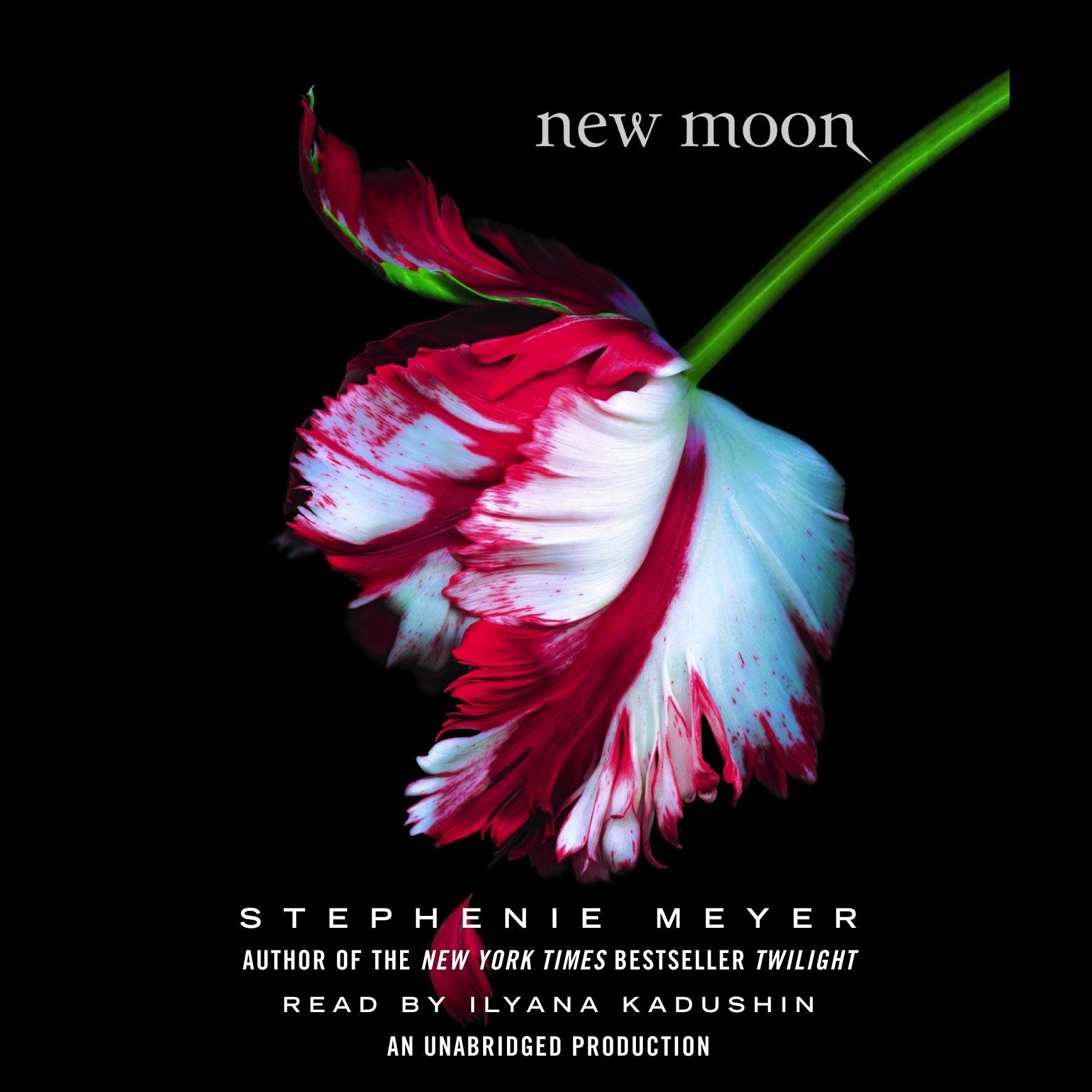 New Moon