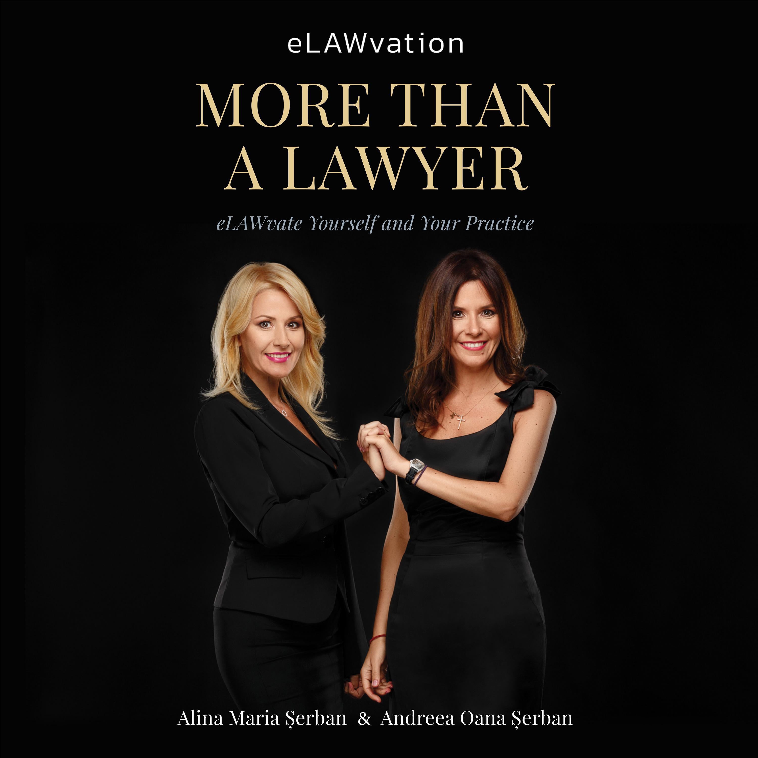 More Than A Lawyer