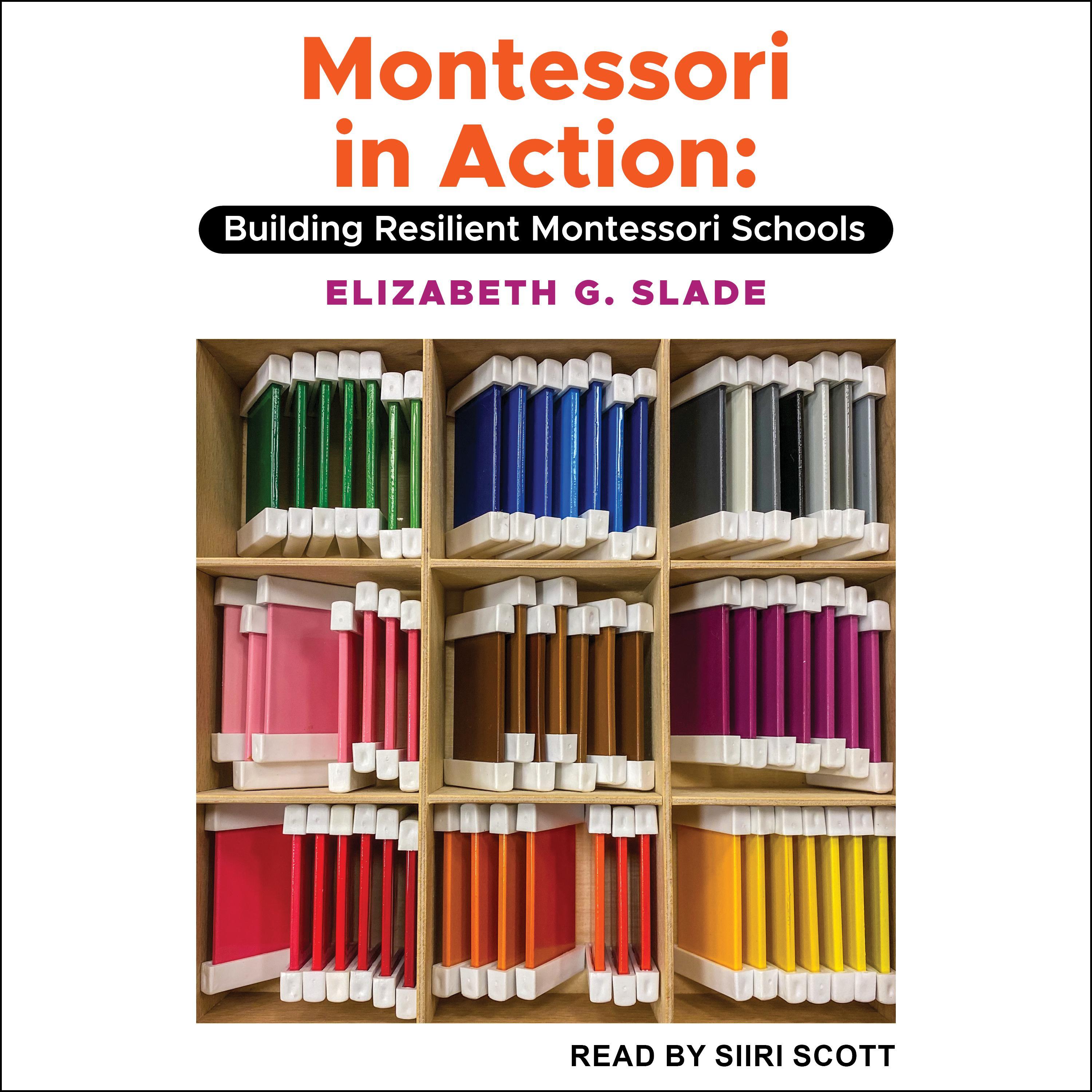 Montessori in Action