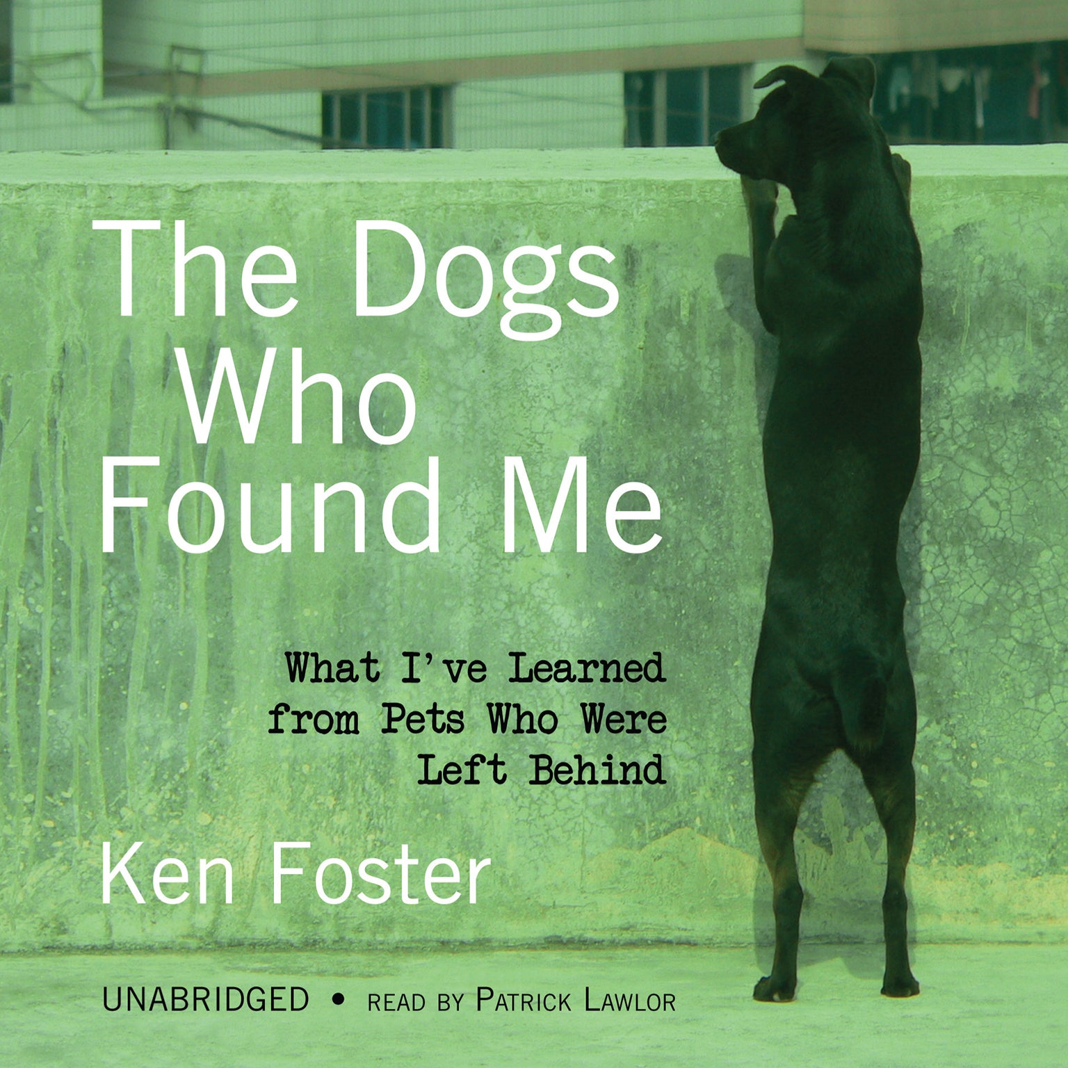 The Dogs Who Found Me