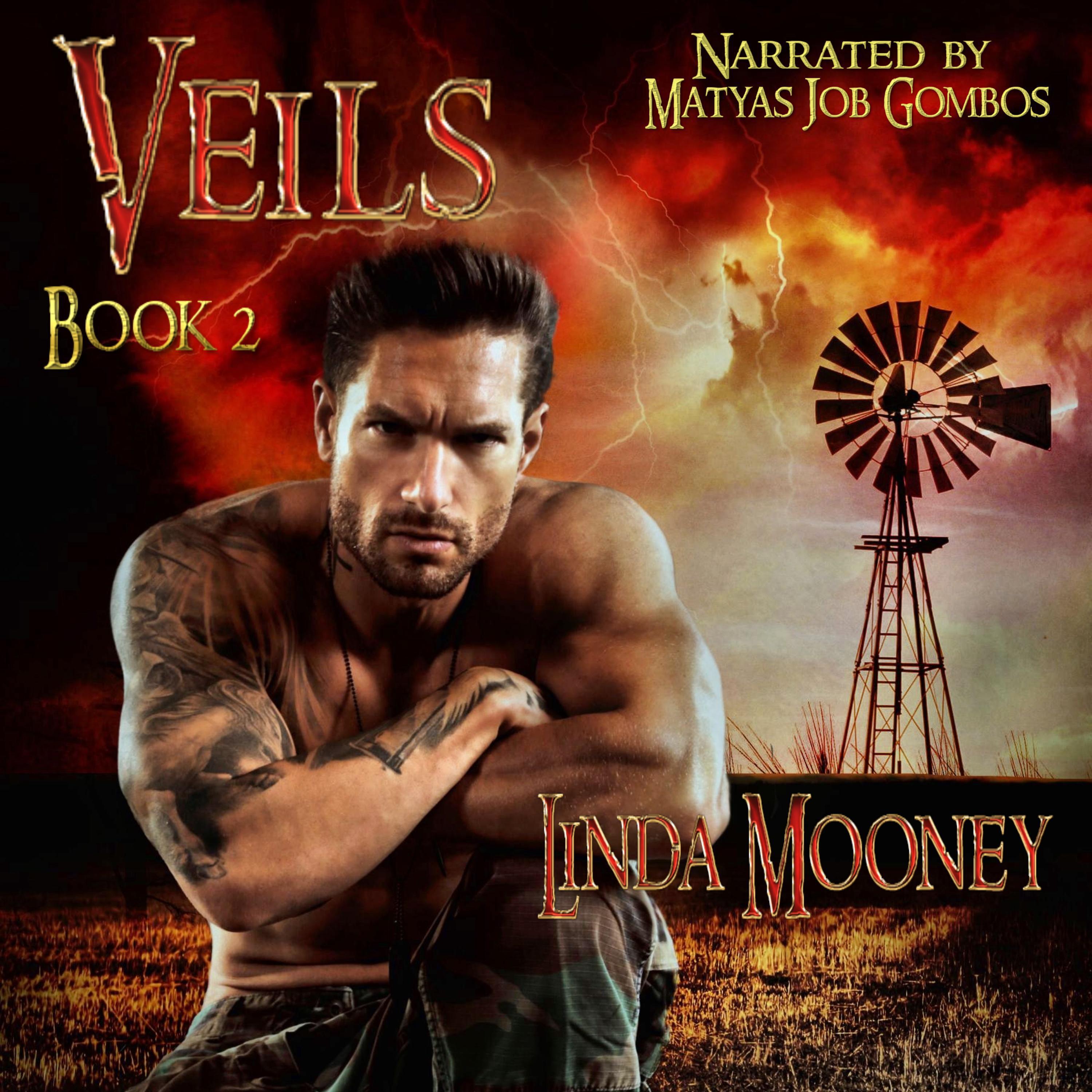 Veils, Book 2