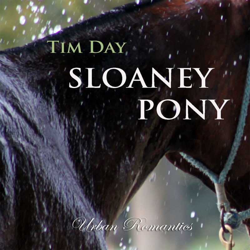 Sloaney Pony Dream Box 4