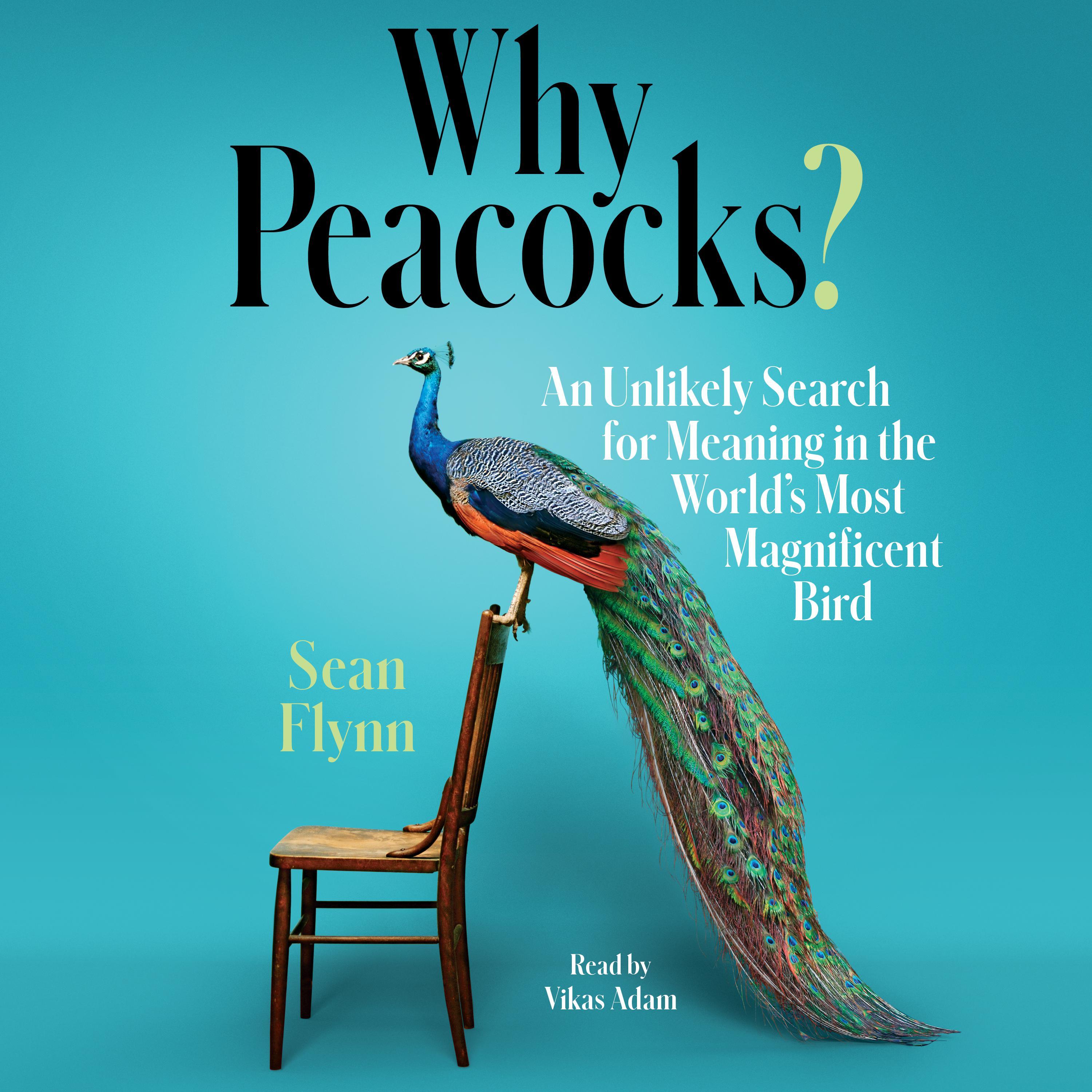 Why Peacocks?