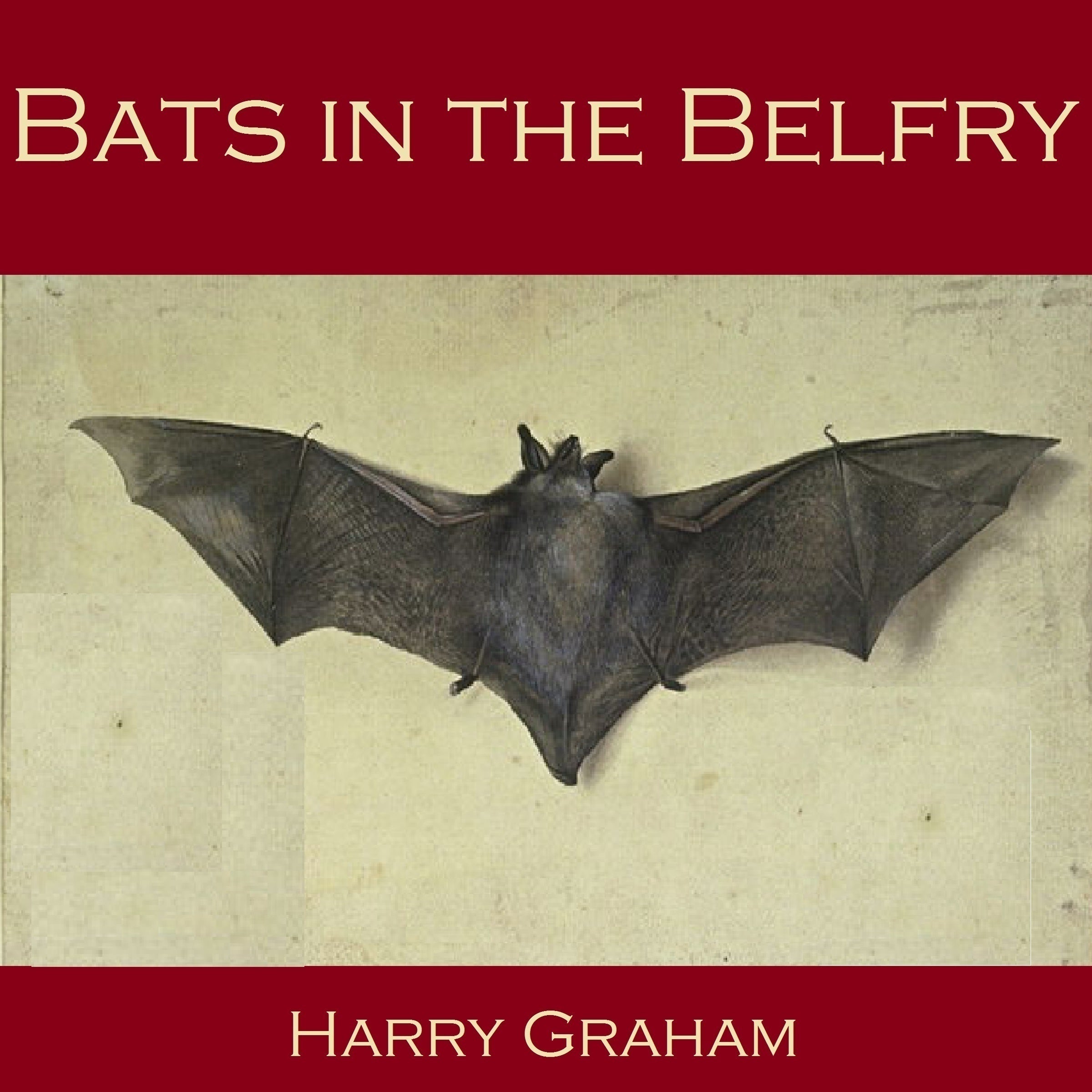 Bats in the Belfry
