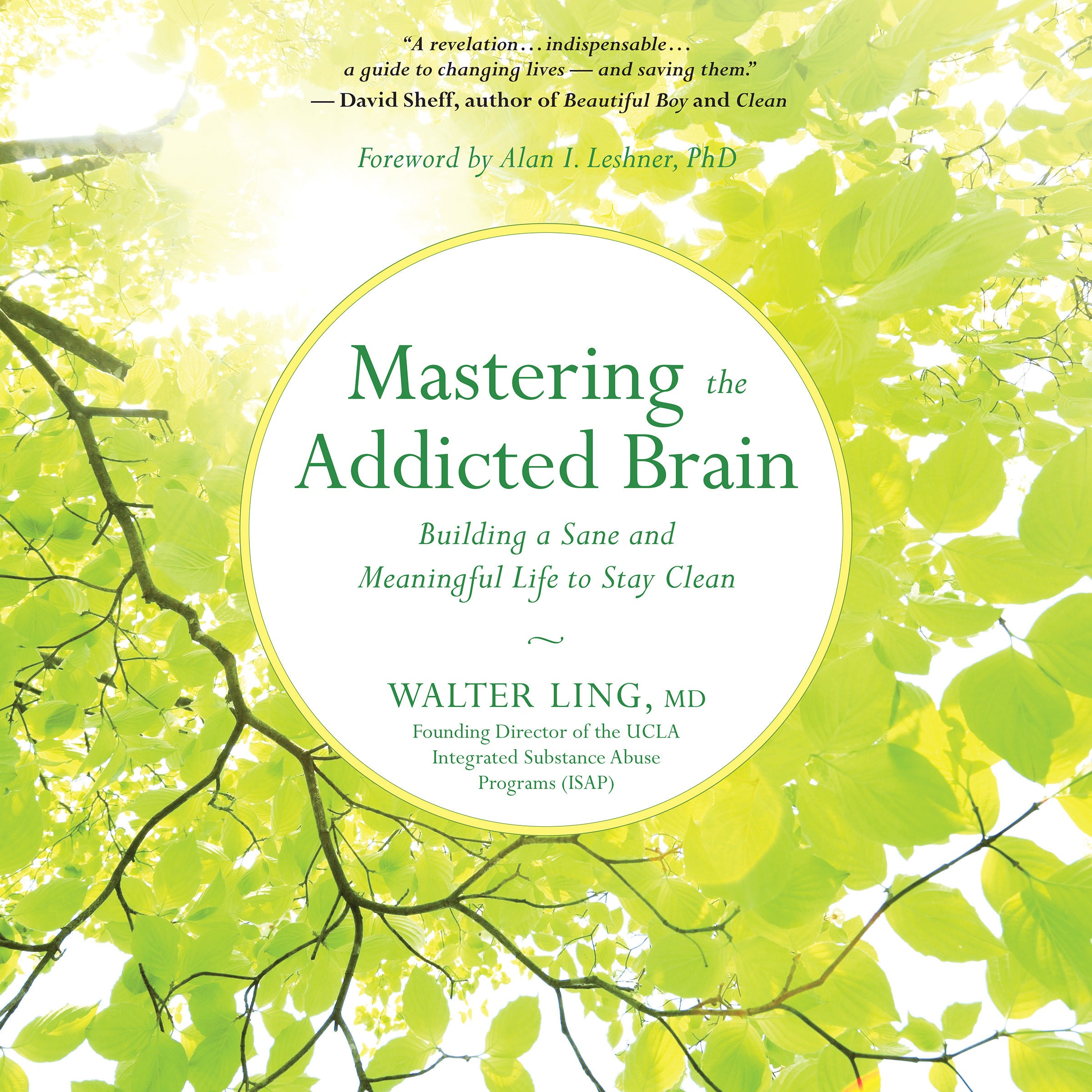 Mastering the Addicted Brain