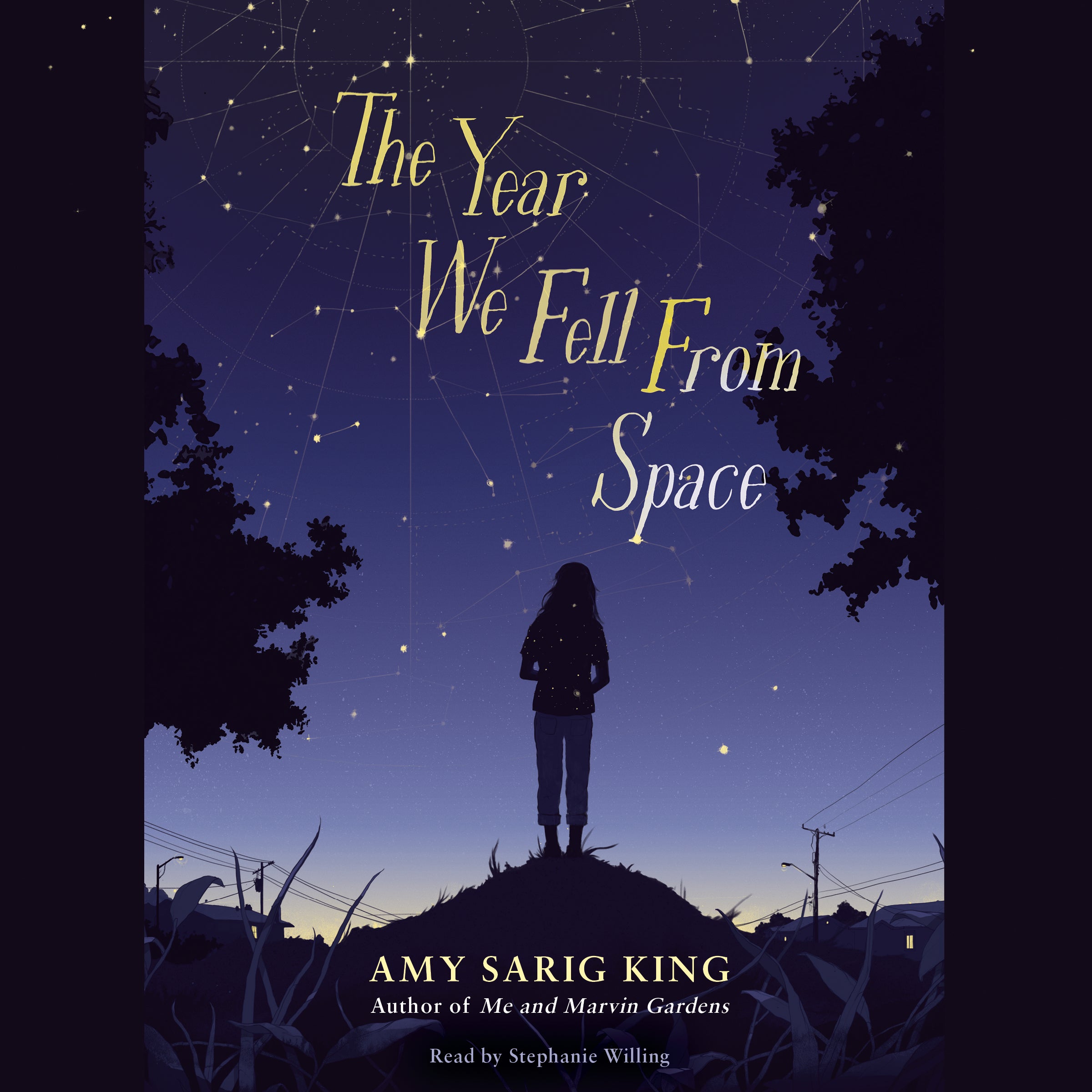 The Year We Fell From Space (Scholastic Gold)