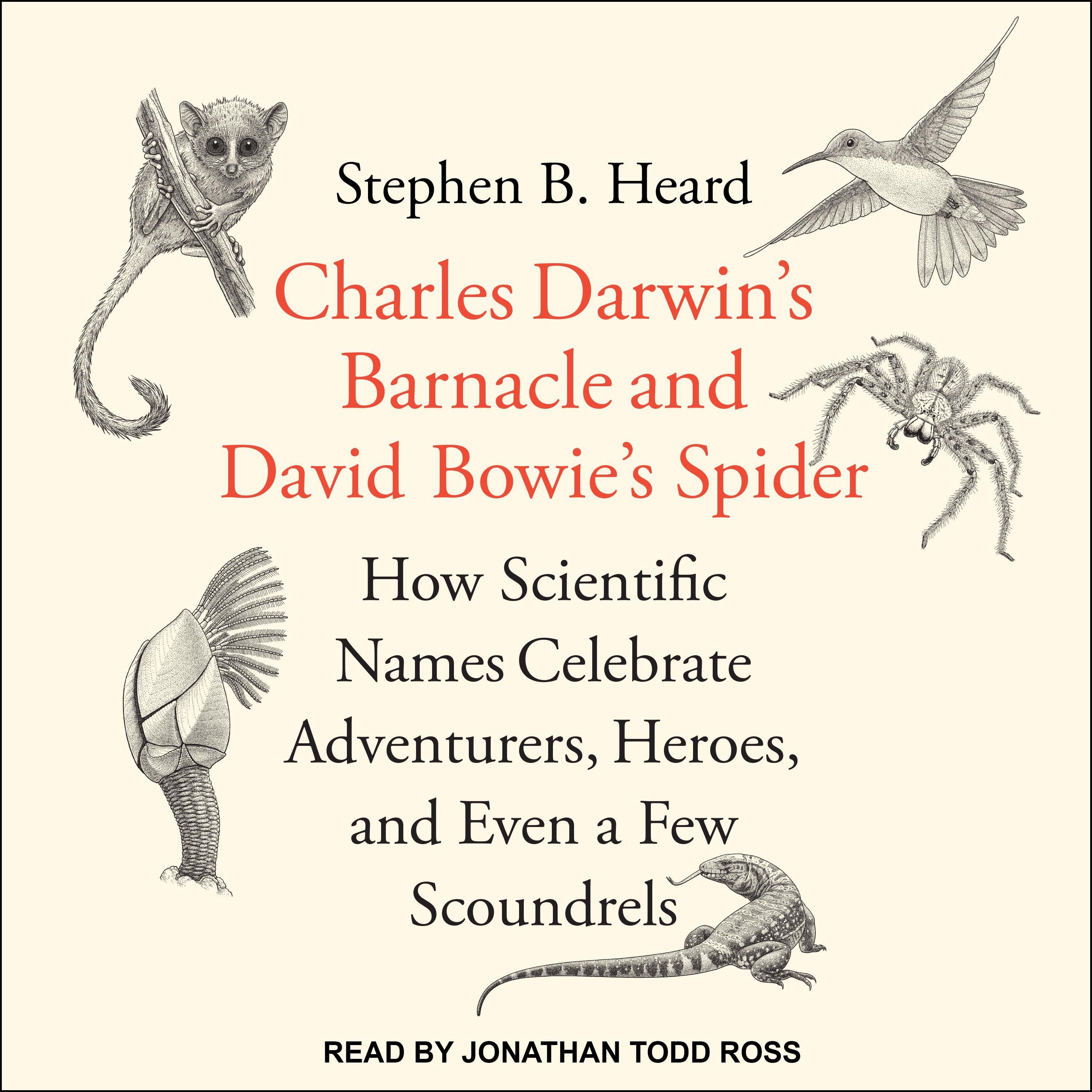 Charles Darwin's Barnacle and David Bowie's Spider