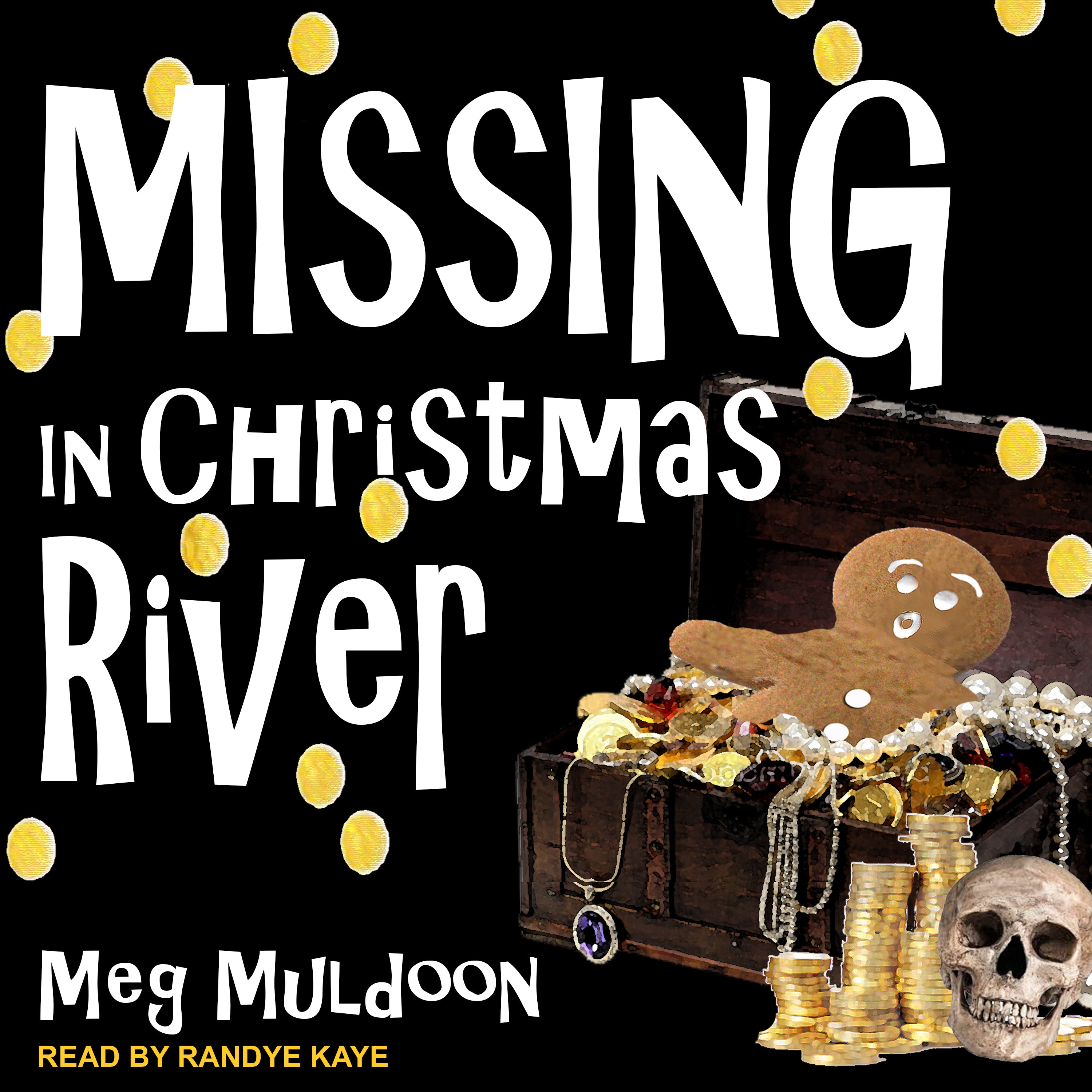 Missing in Christmas River