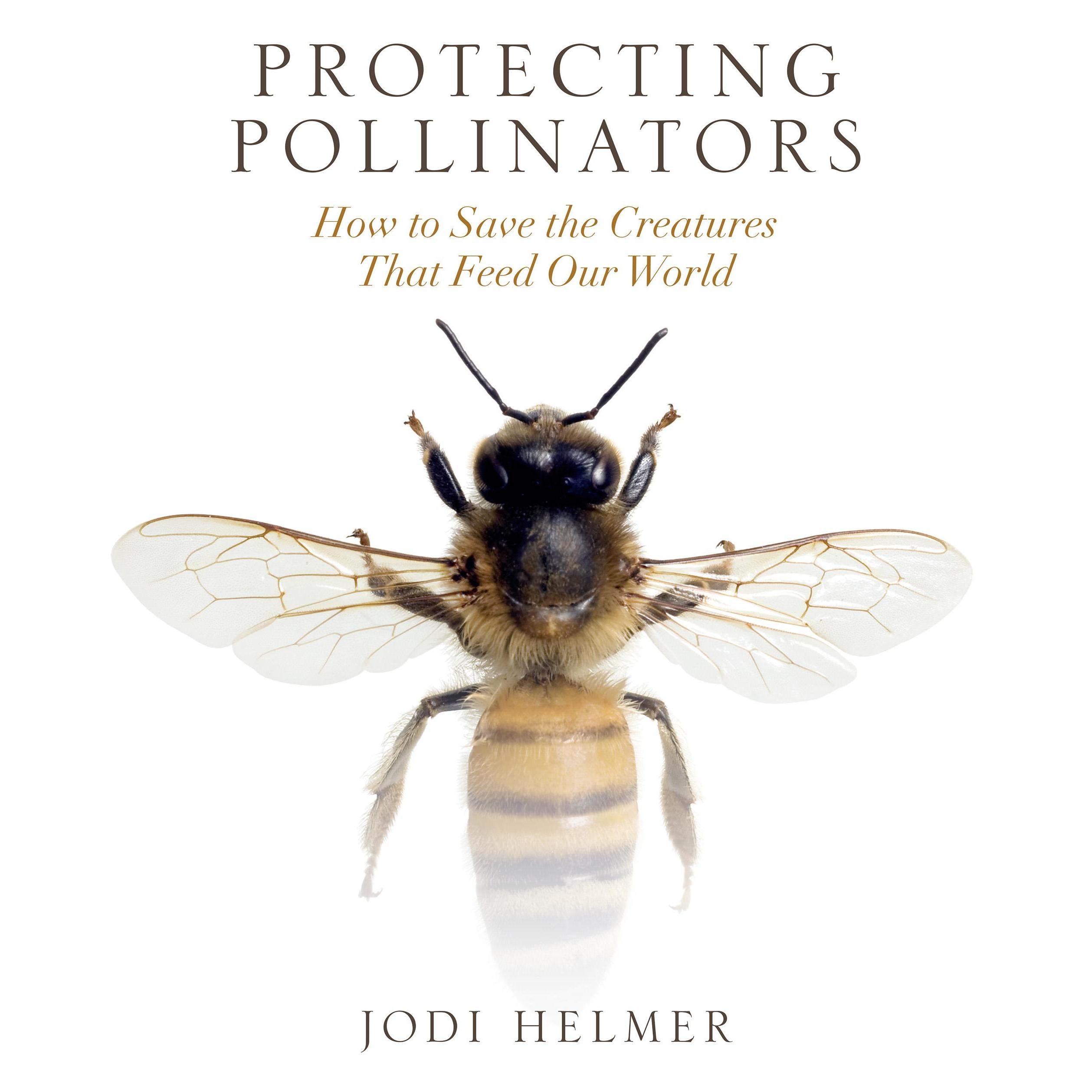 Protecting Pollinators
