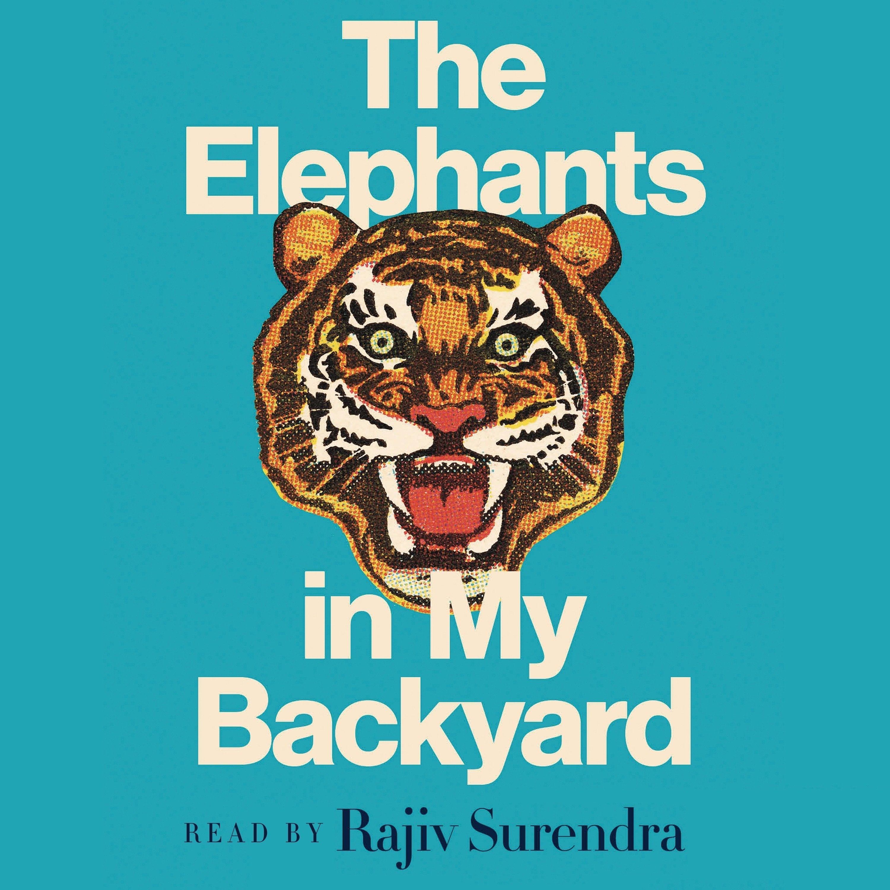 The Elephants in My Backyard