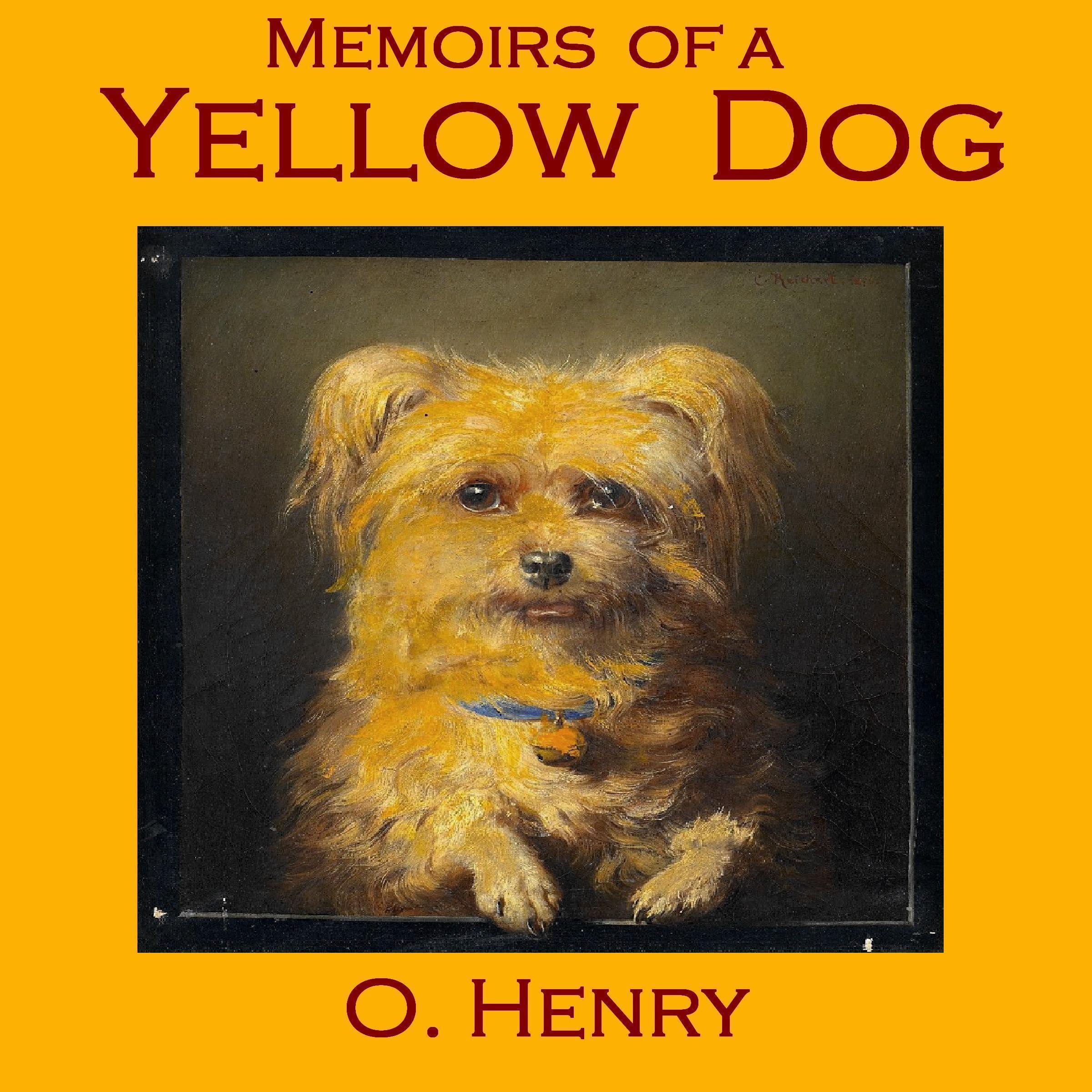 Memoirs of a Yellow Dog