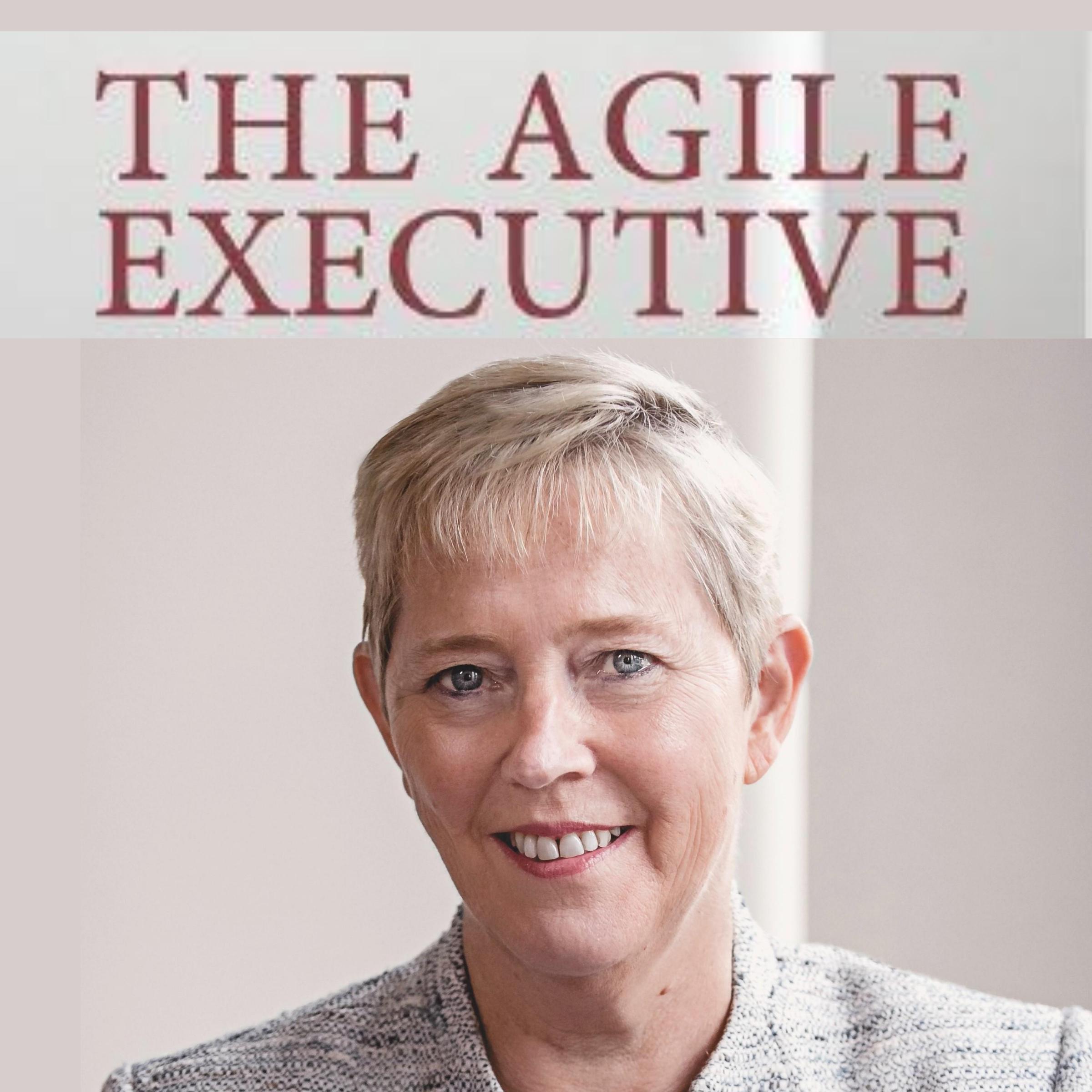 The Agile Executive