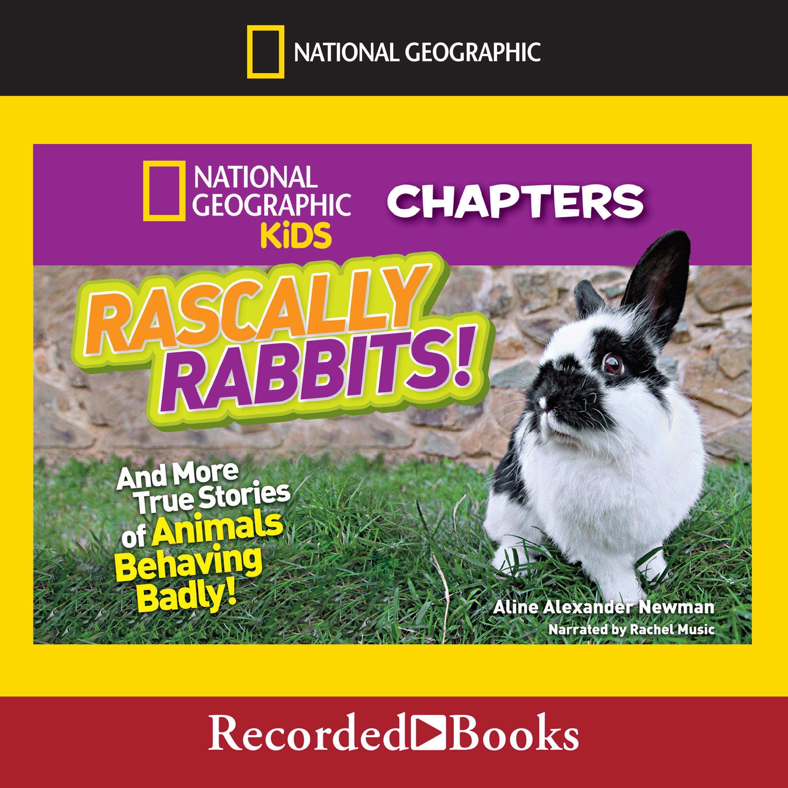 Rascally Rabbits!