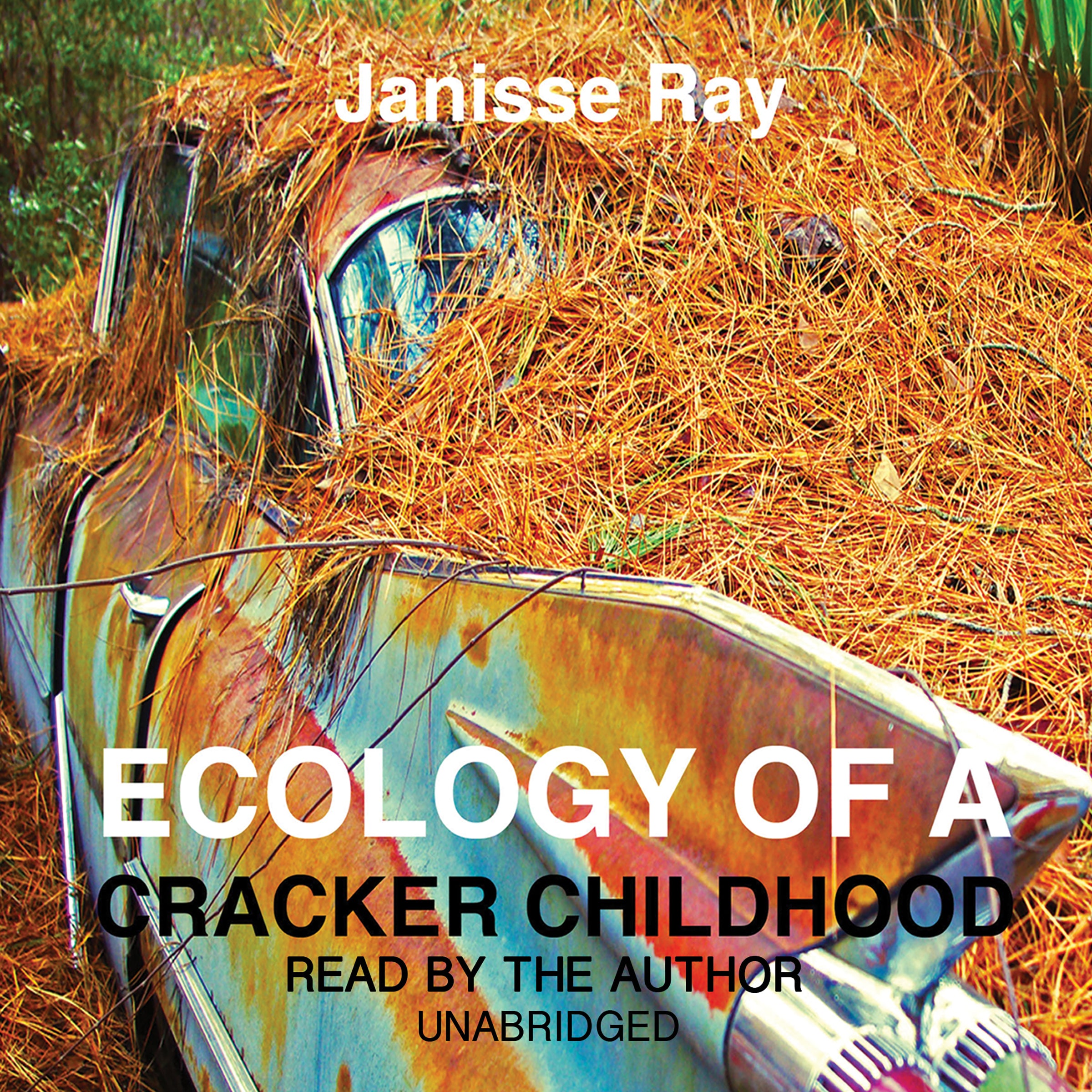 Ecology of a Cracker Childhood