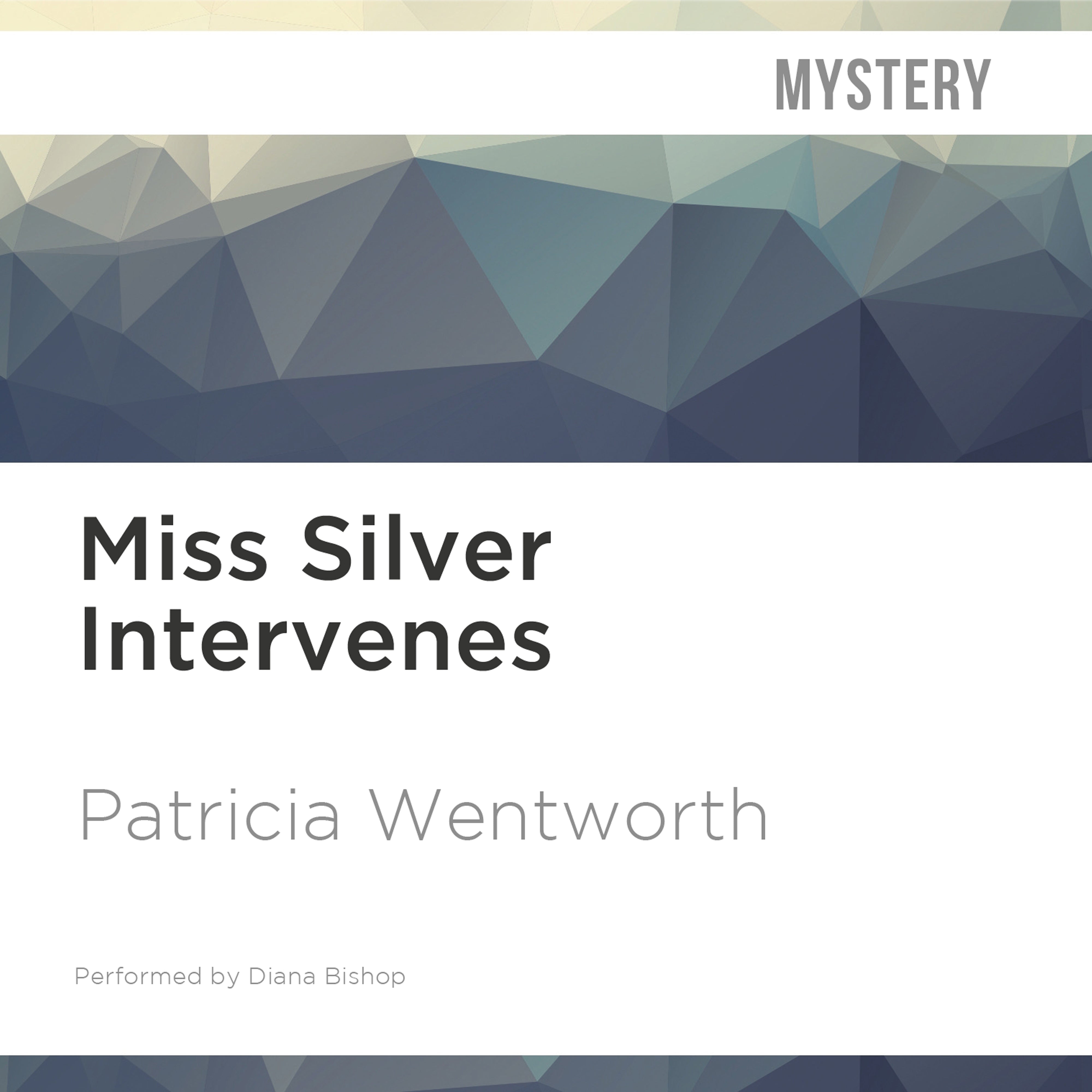 Miss Silver Intervenes