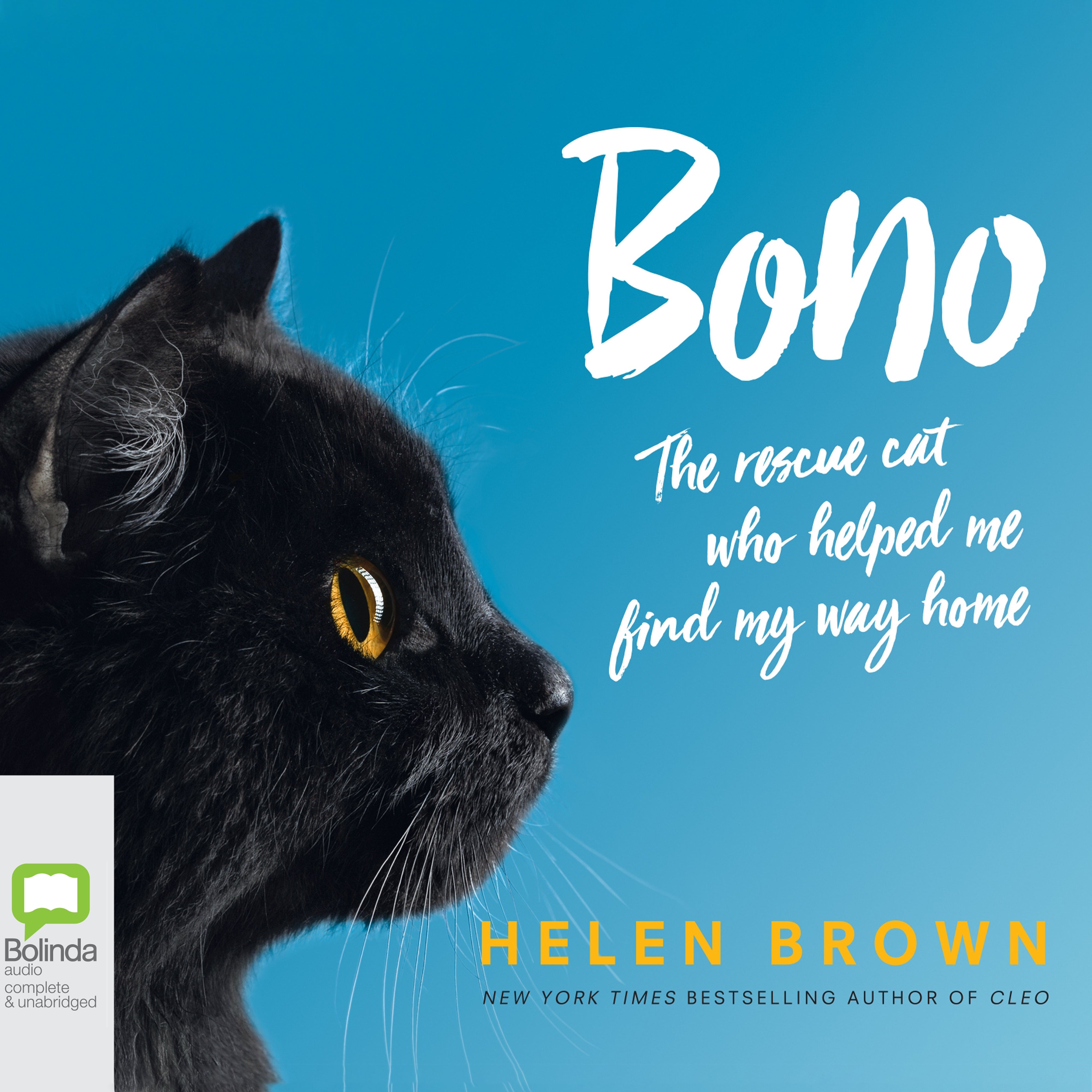 Bono: The Rescue Cat Who Helped Me Find My Way Home