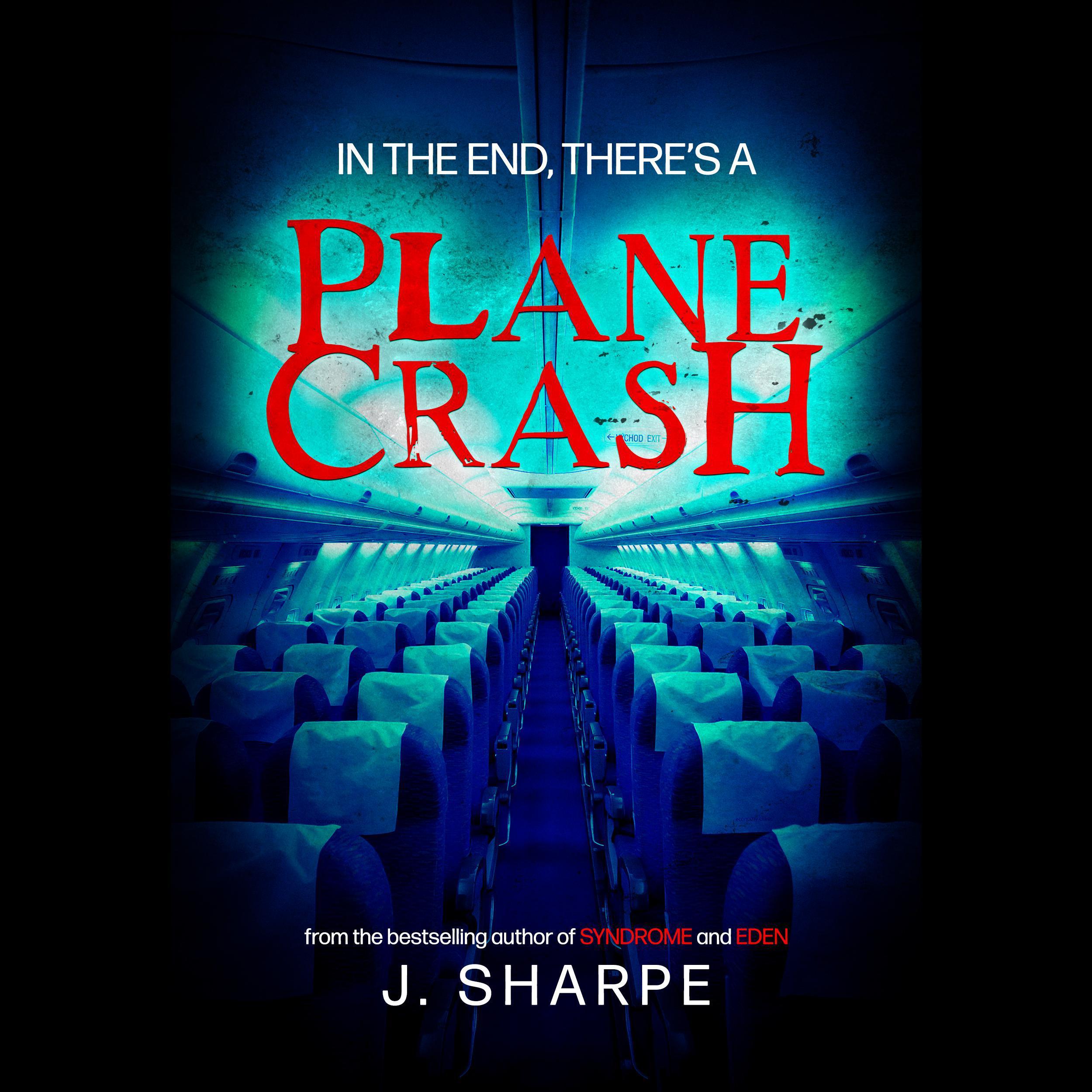 In the end, there's a plane crash
