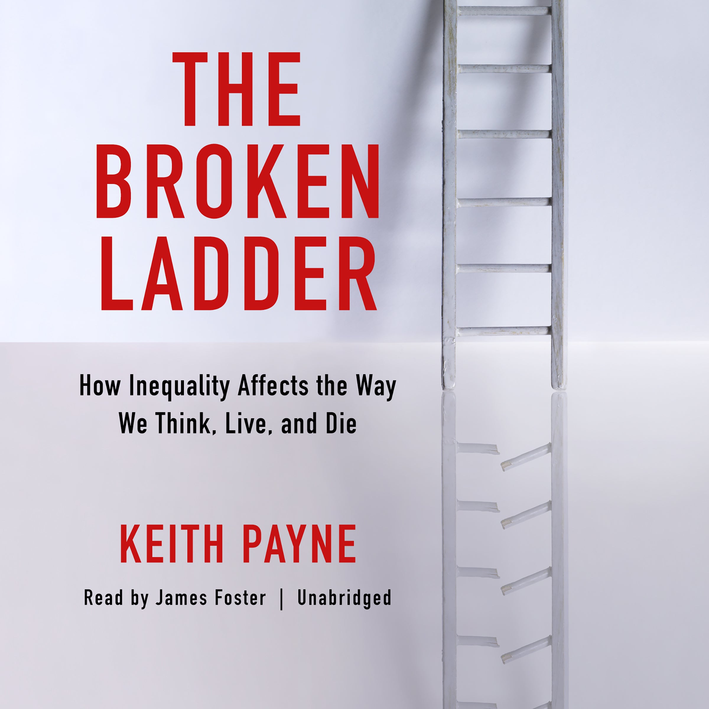 The Broken Ladder