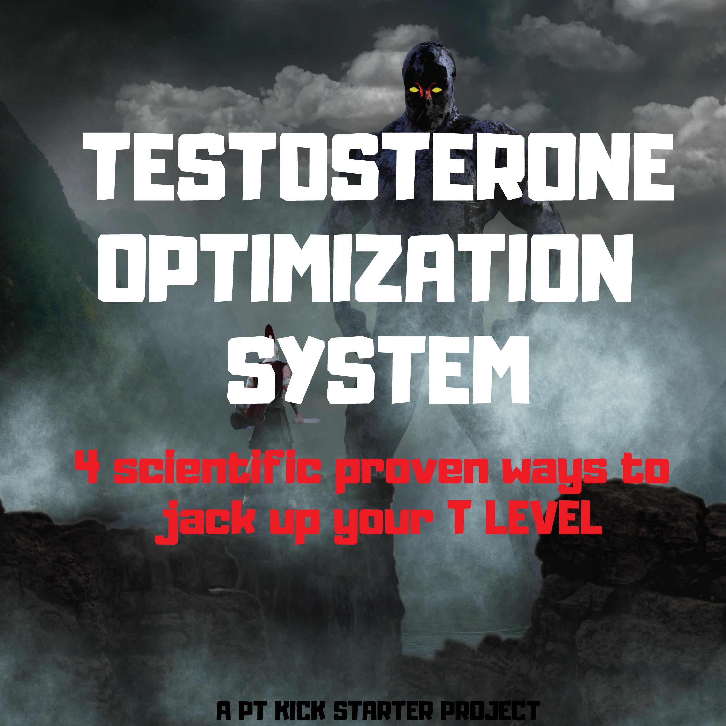 TESTOSTERONE OPTIMIZATION SYSTEM
