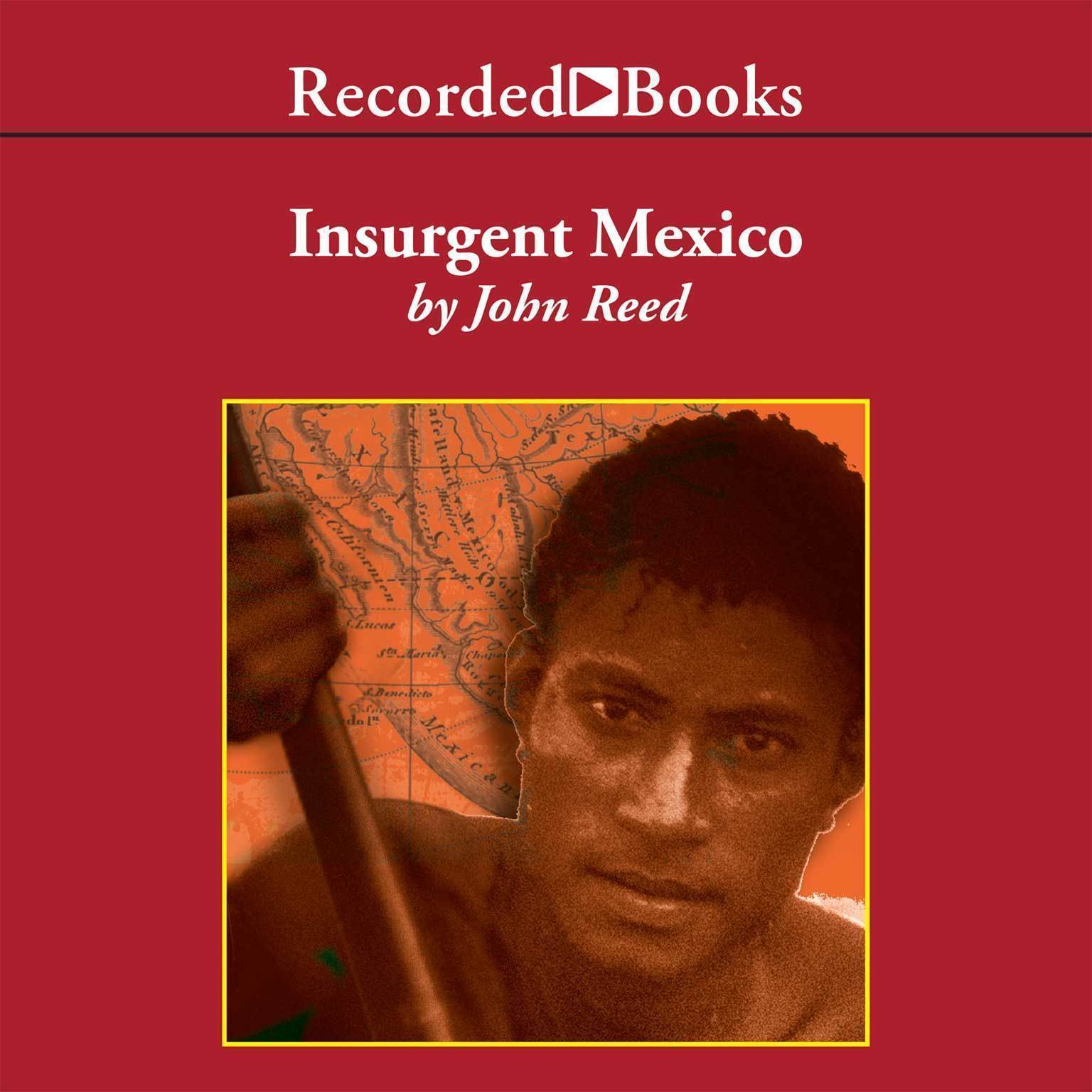 Insurgent Mexico