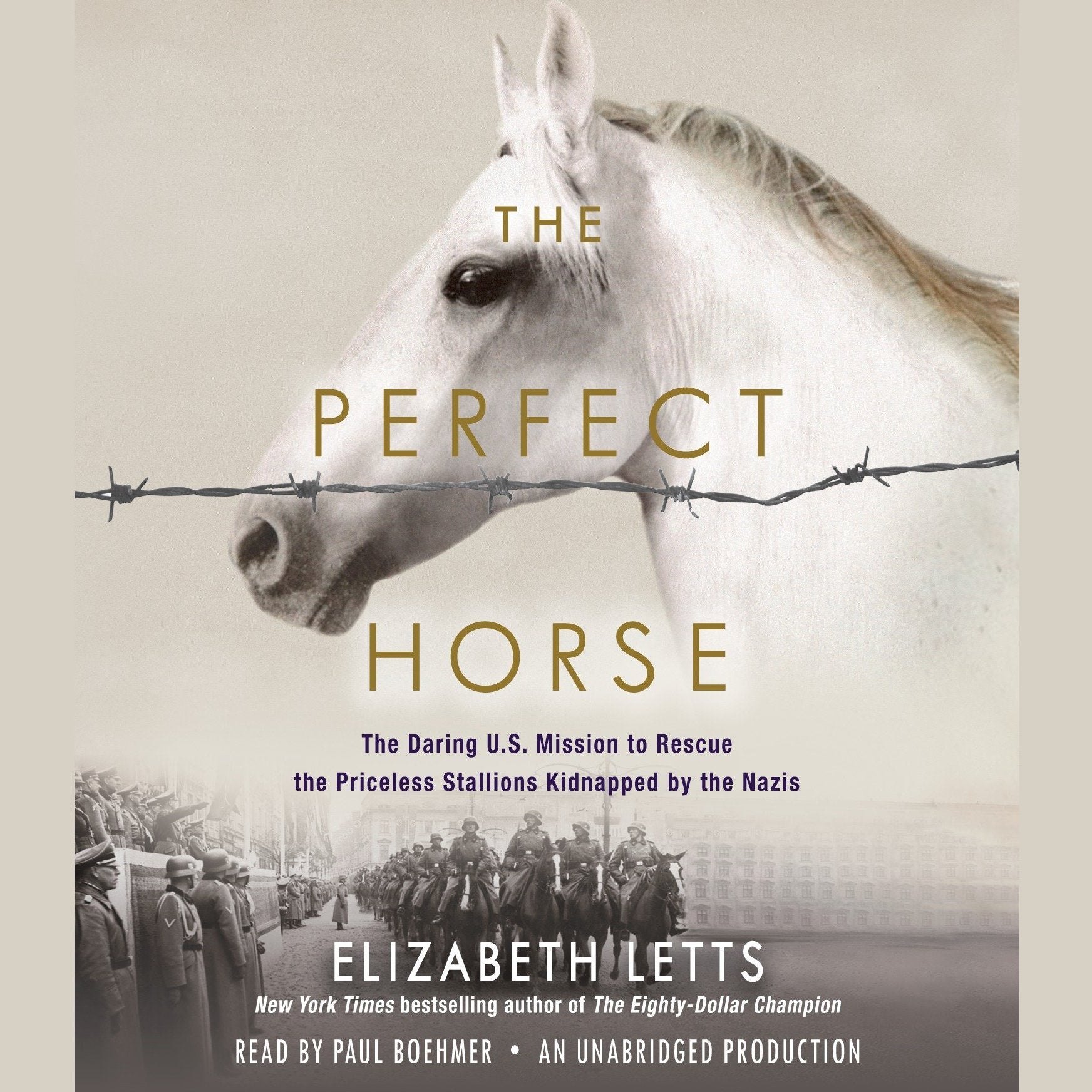 The Perfect Horse