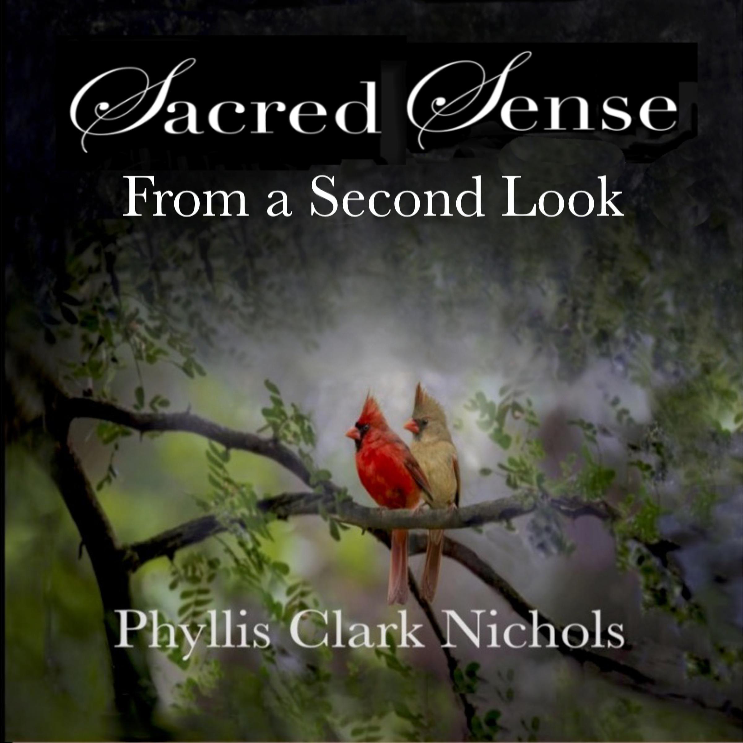 SACRED SENSE from a SECOND LOOK