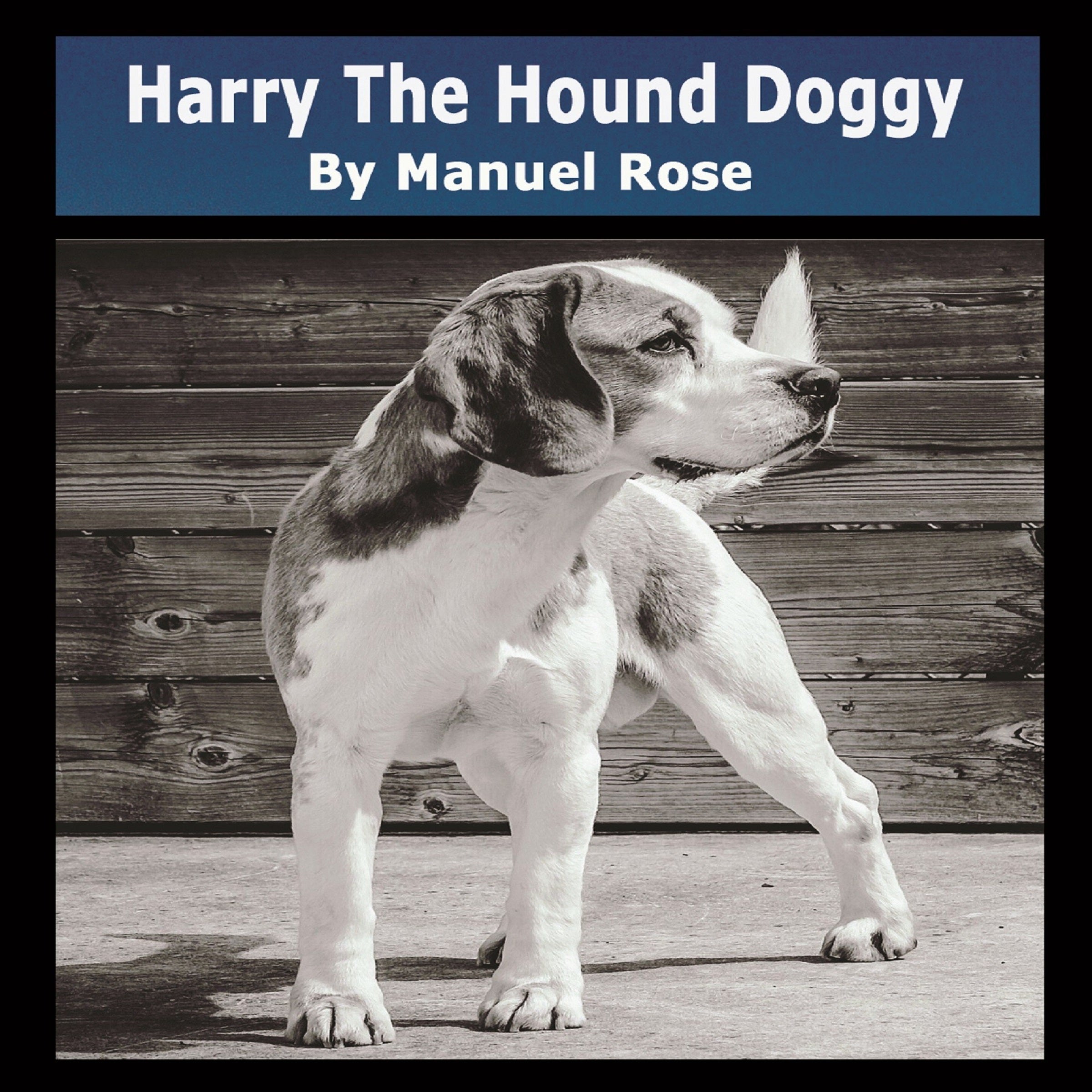 Harry The Hound Doggy