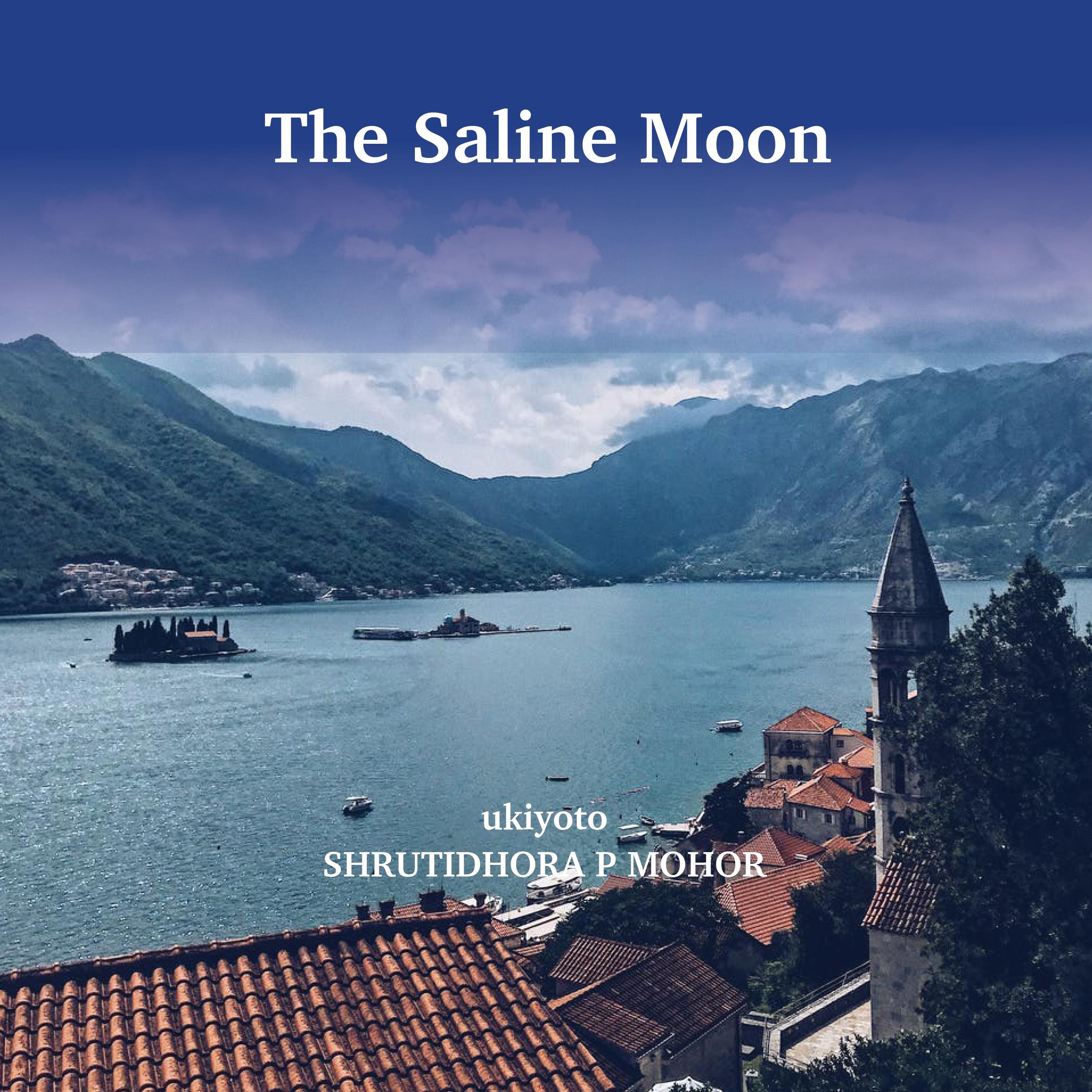 The Saline Moon
