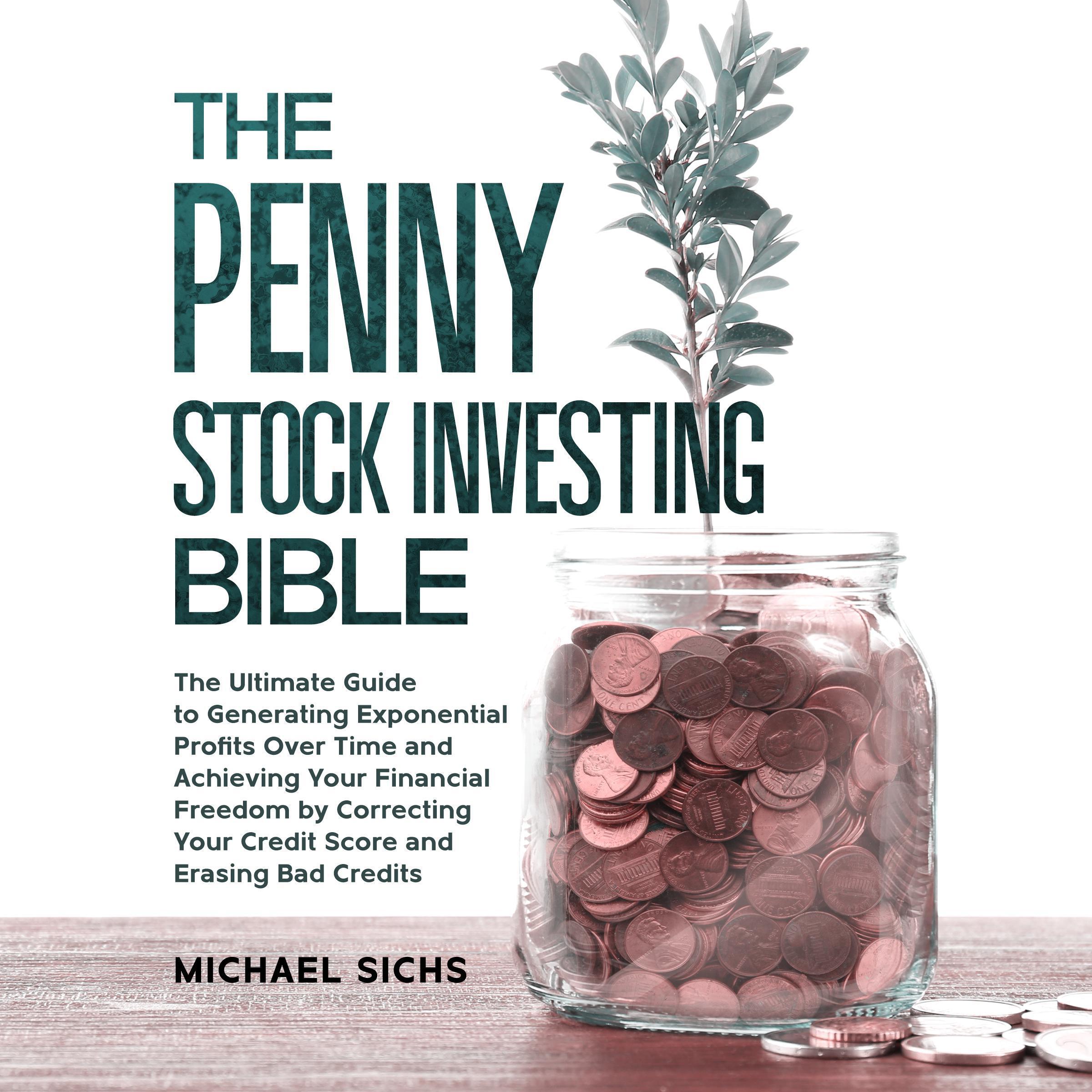 The Penny Stock Investing Bible