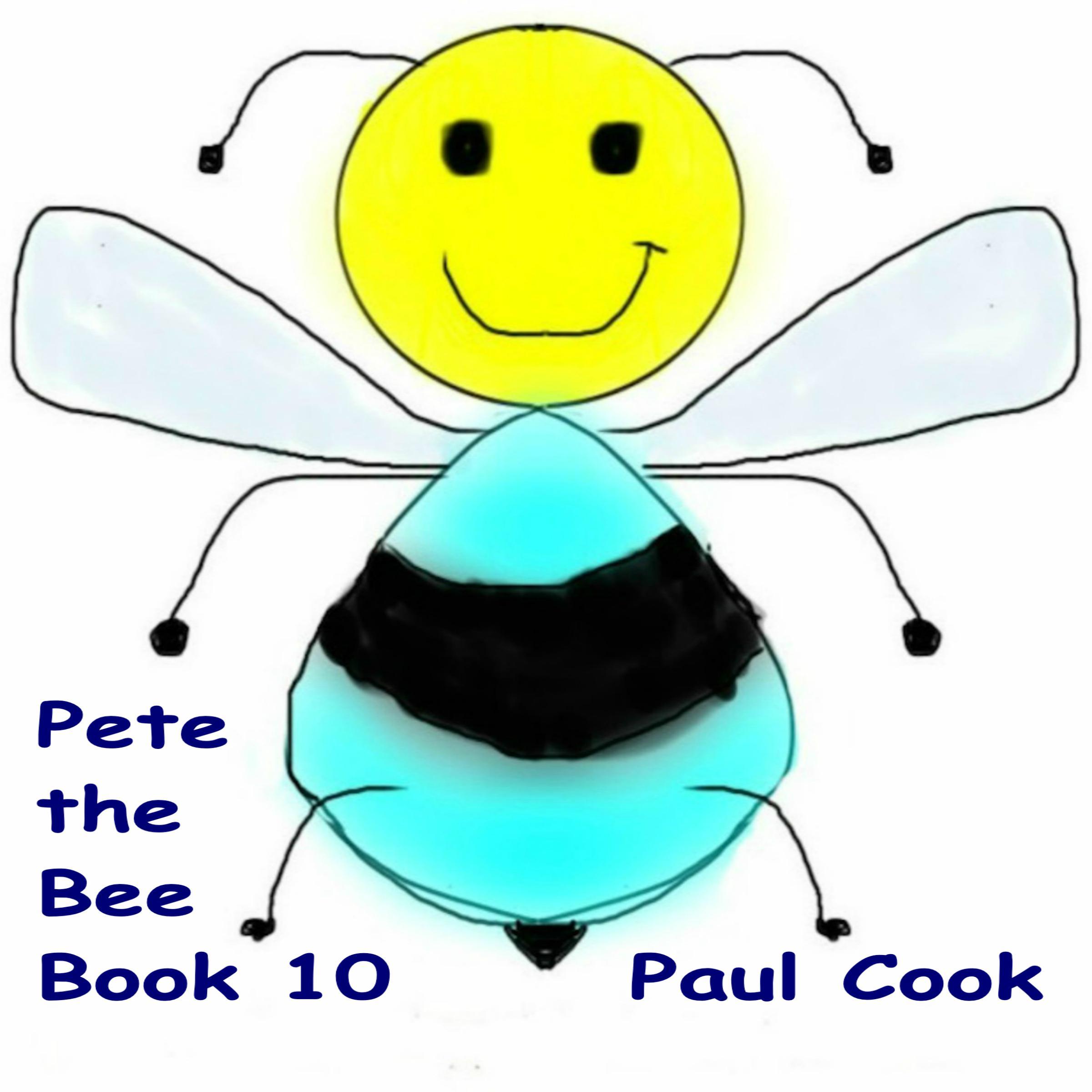 Pete the Bee Book 10: Brandon The Fly Learns His Lesson