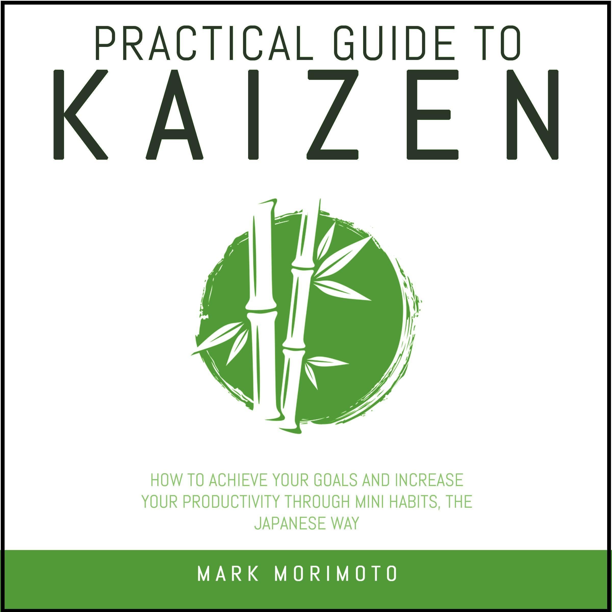 Practical Guide To Kaizen.