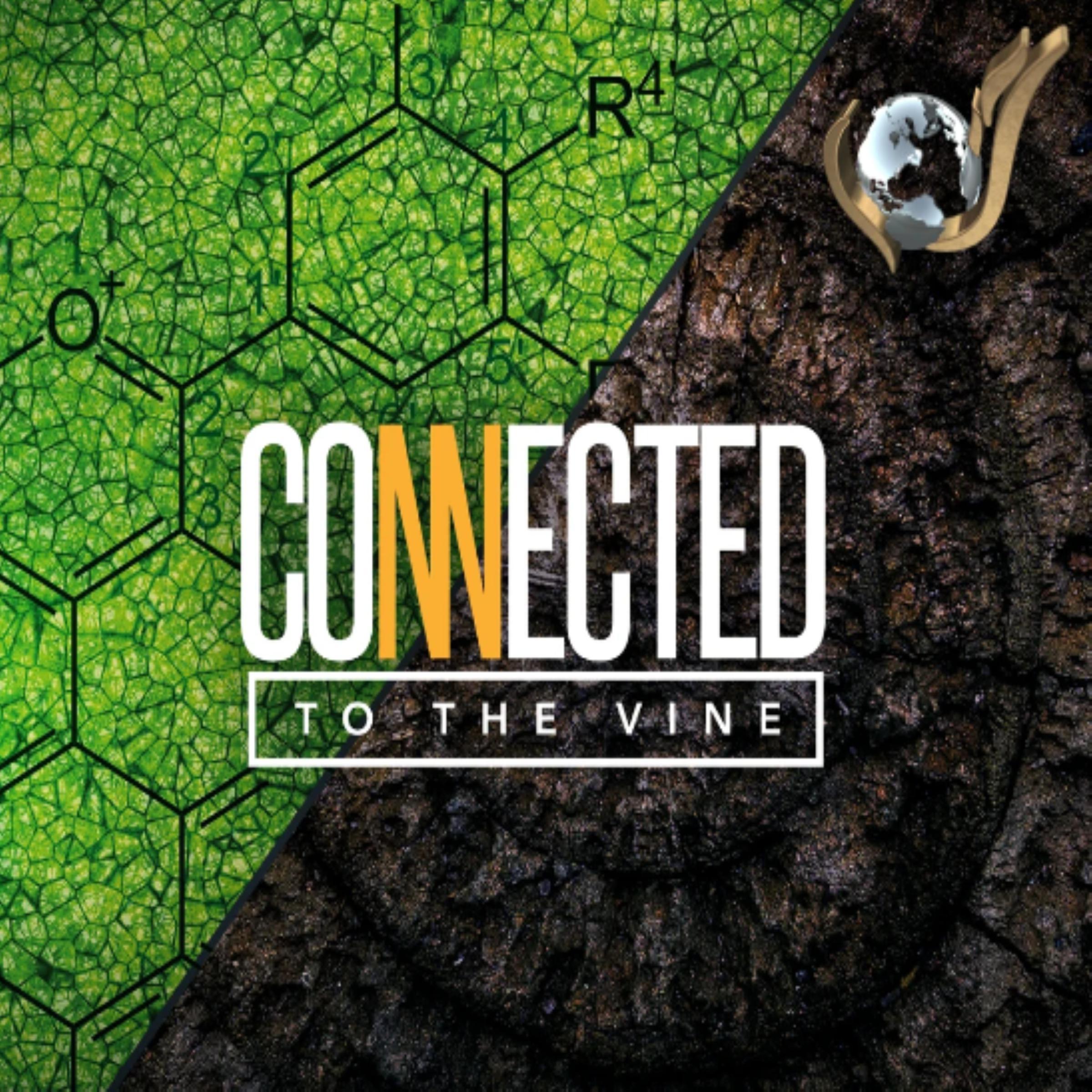 Connected To The Vine