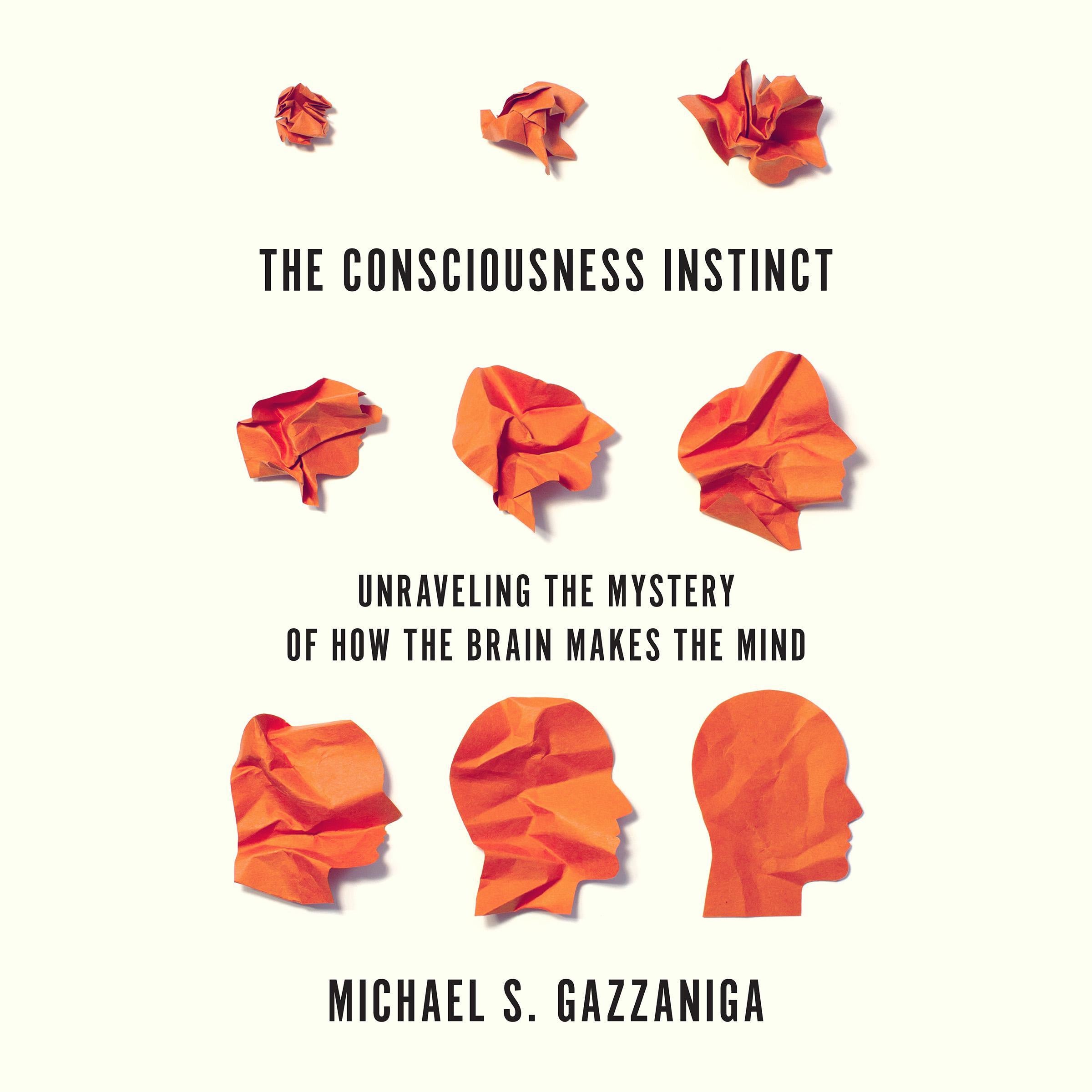 The Consciousness Instinct