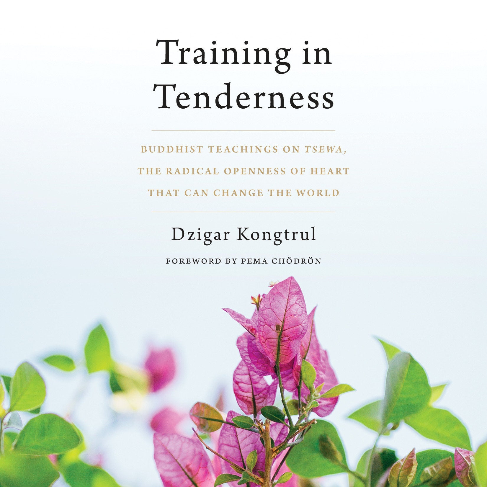 Training in Tenderness