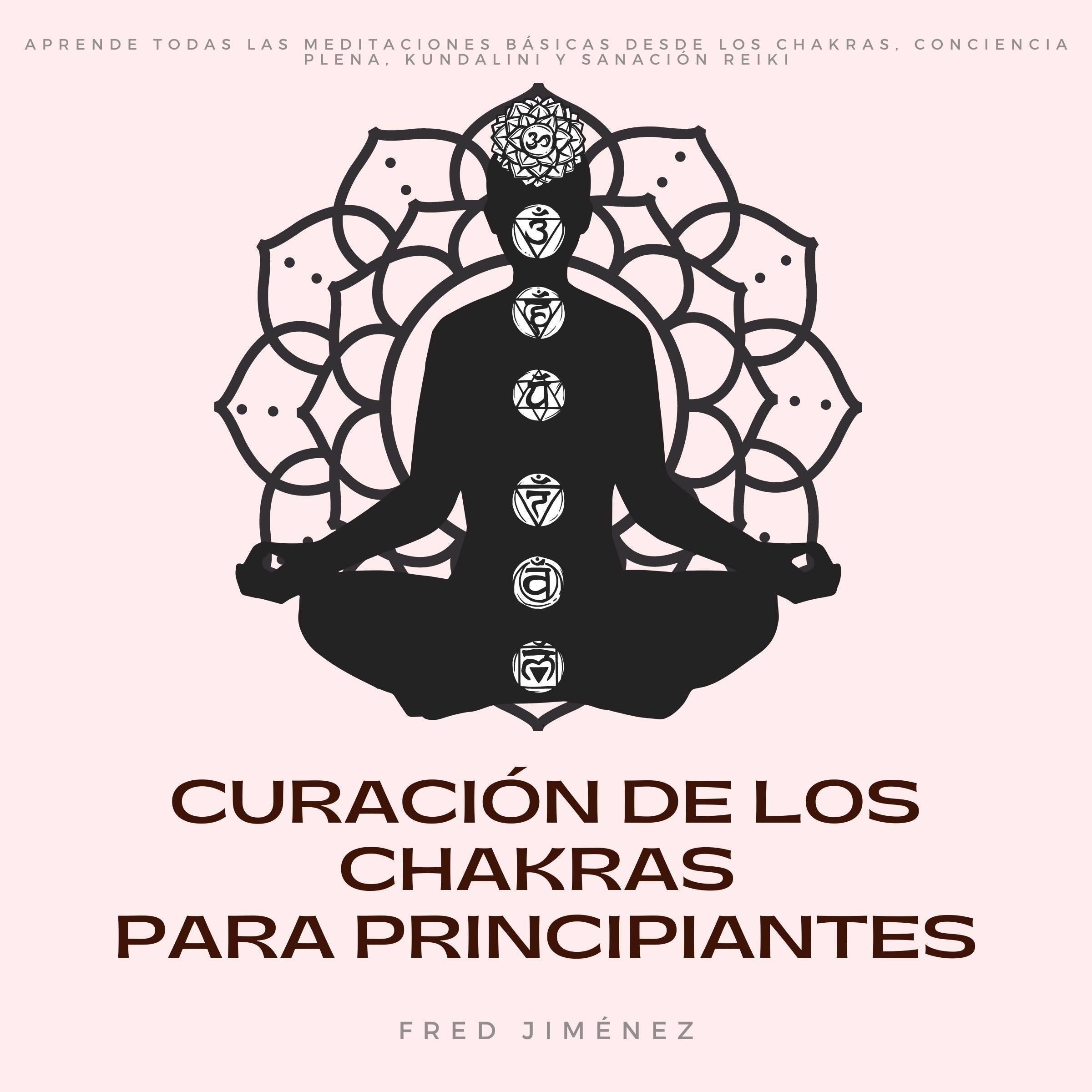 Curación de los Chakras para Principiantes